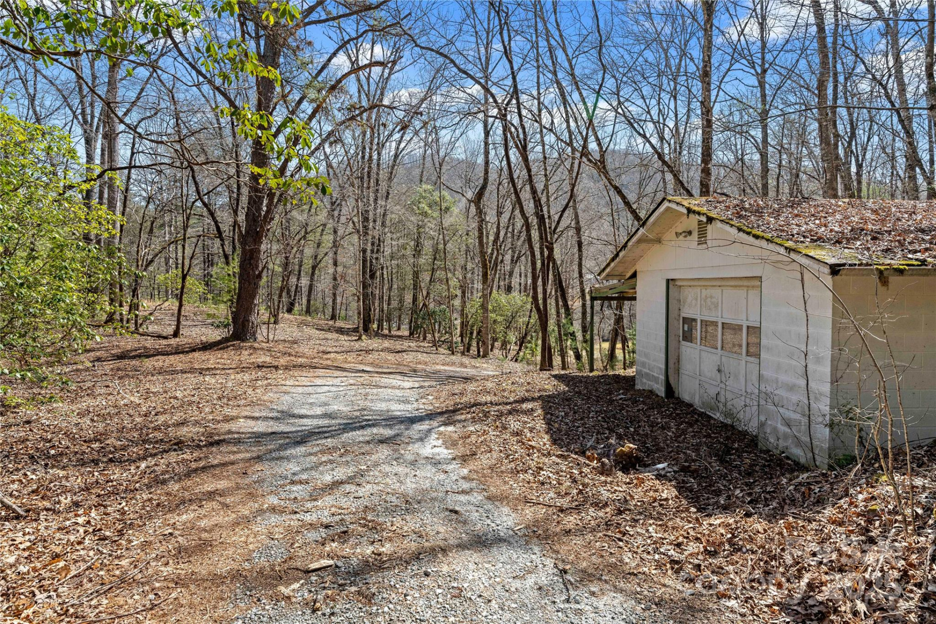 361 Rooster Cove - Photo 30