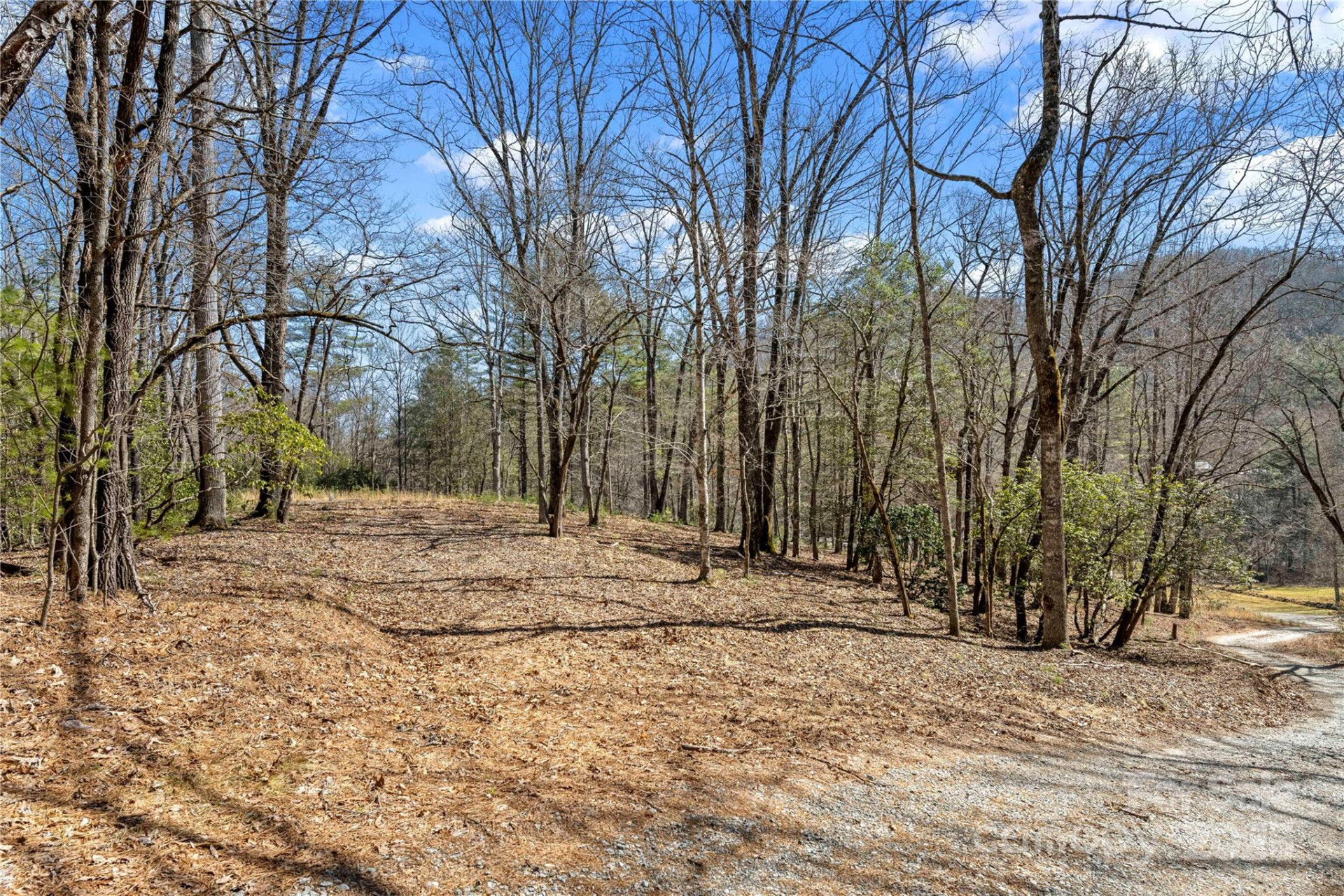 361 Rooster Cove - Photo 31