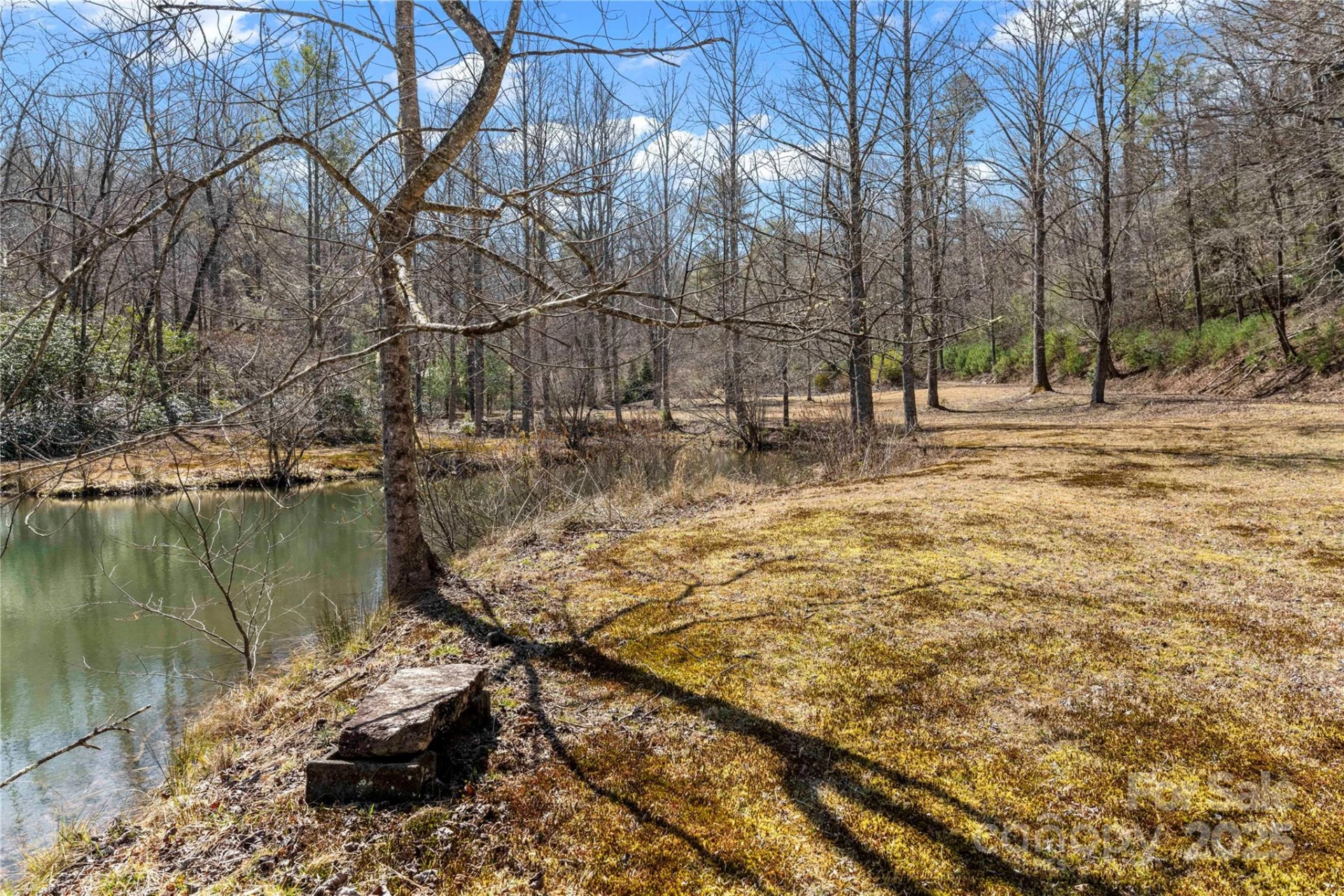 361 Rooster Cove - Photo 32
