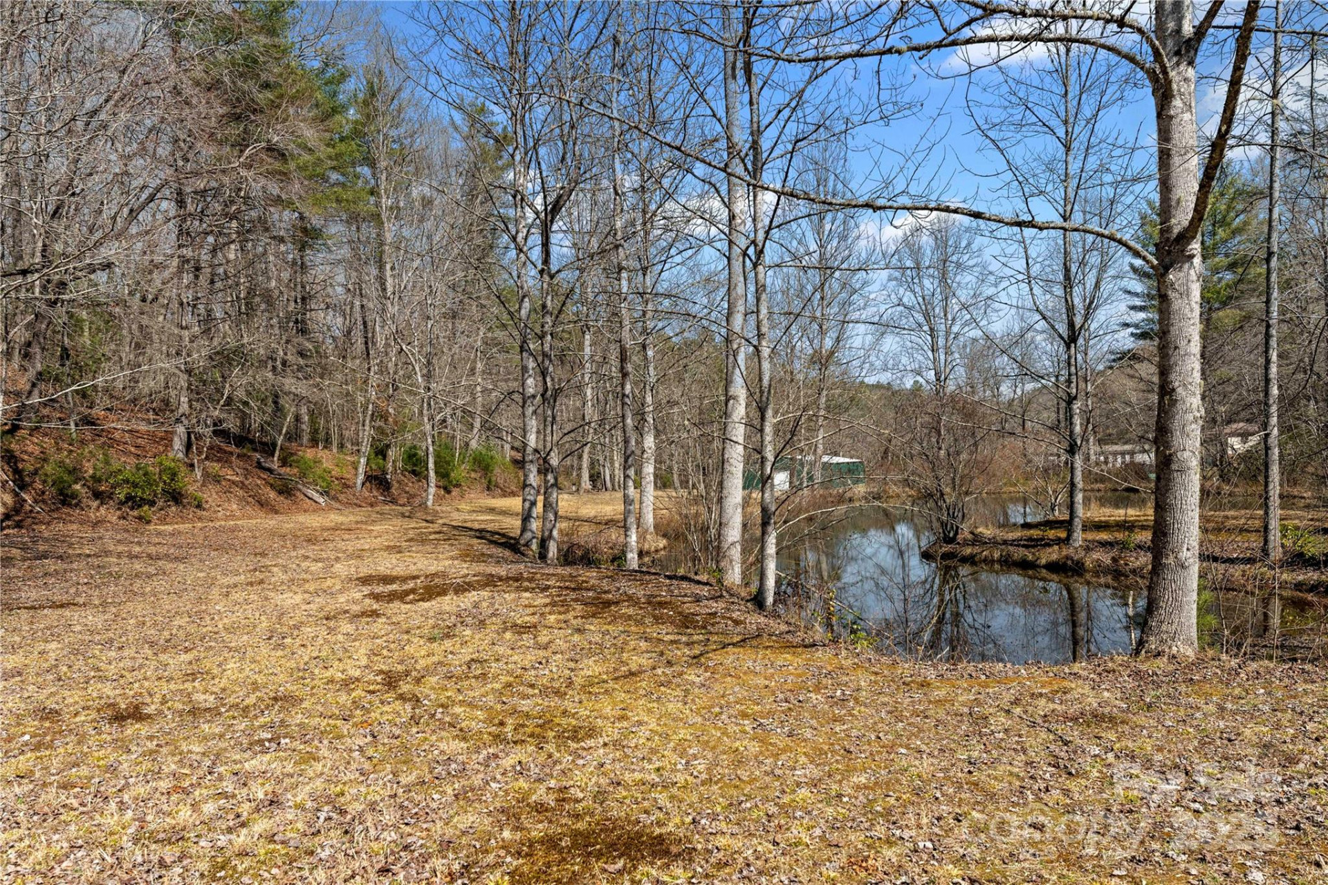 361 Rooster Cove - Photo 33