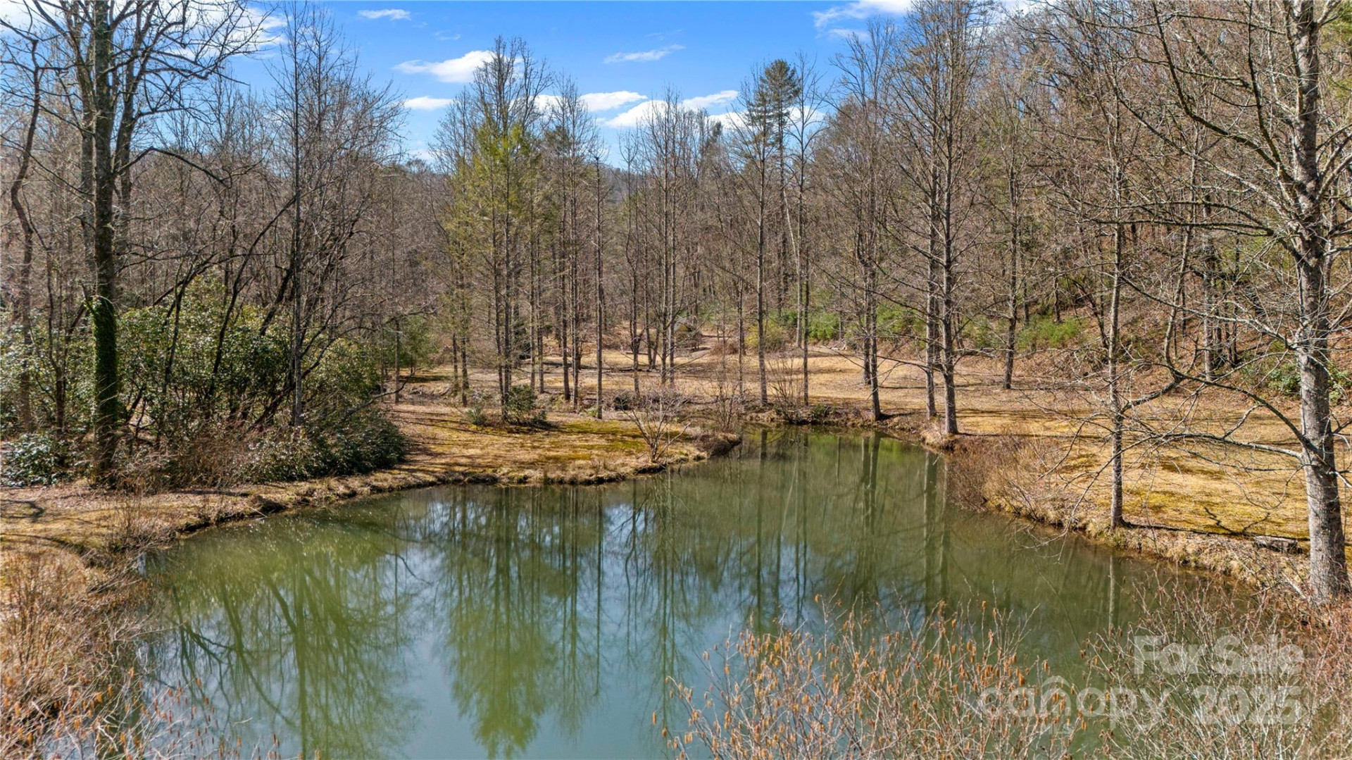 361 Rooster Cove - Photo 5