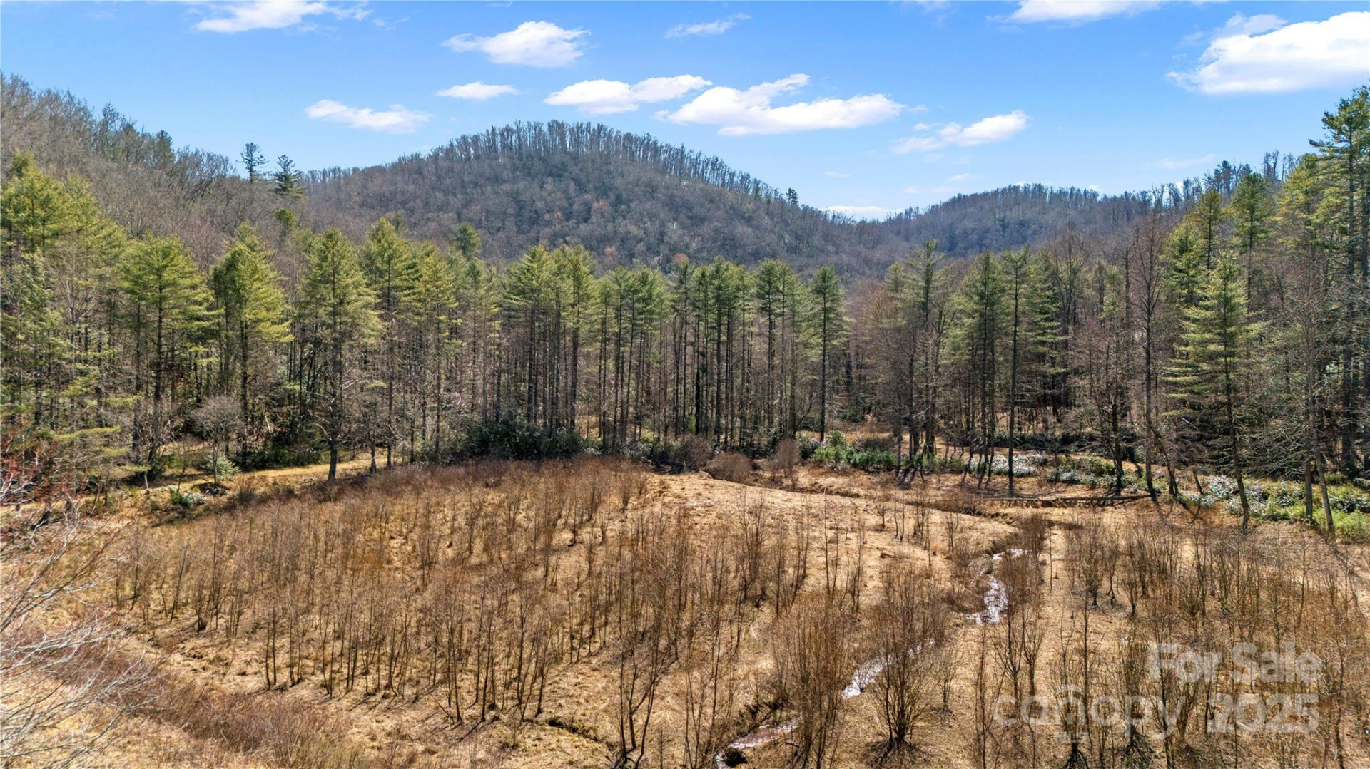 361 Rooster Cove - Photo 9