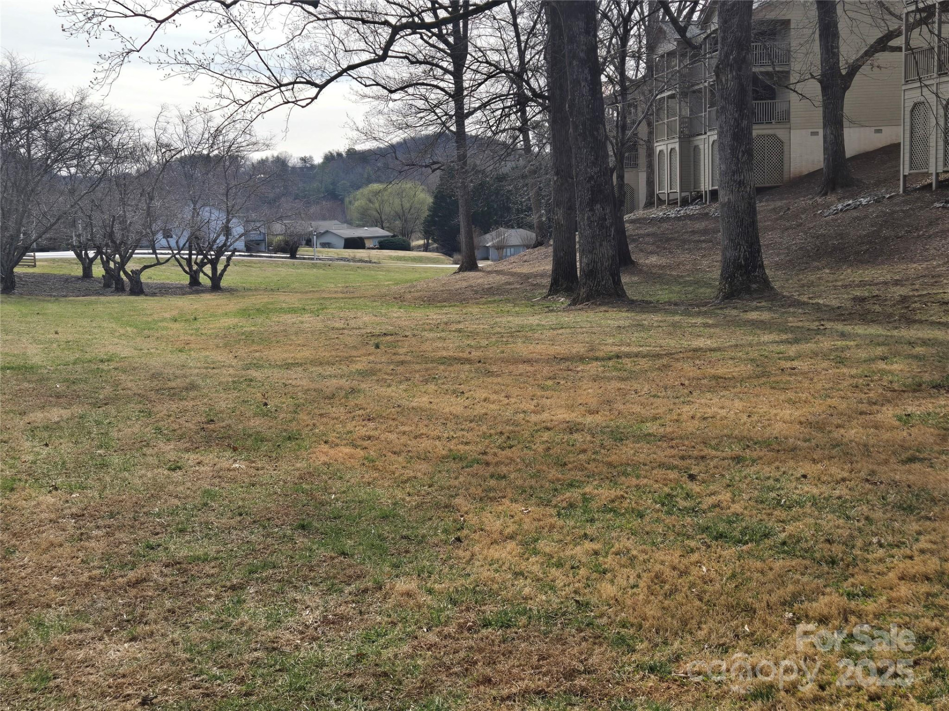 160 Whitney Boulevard #46 - Photo 14