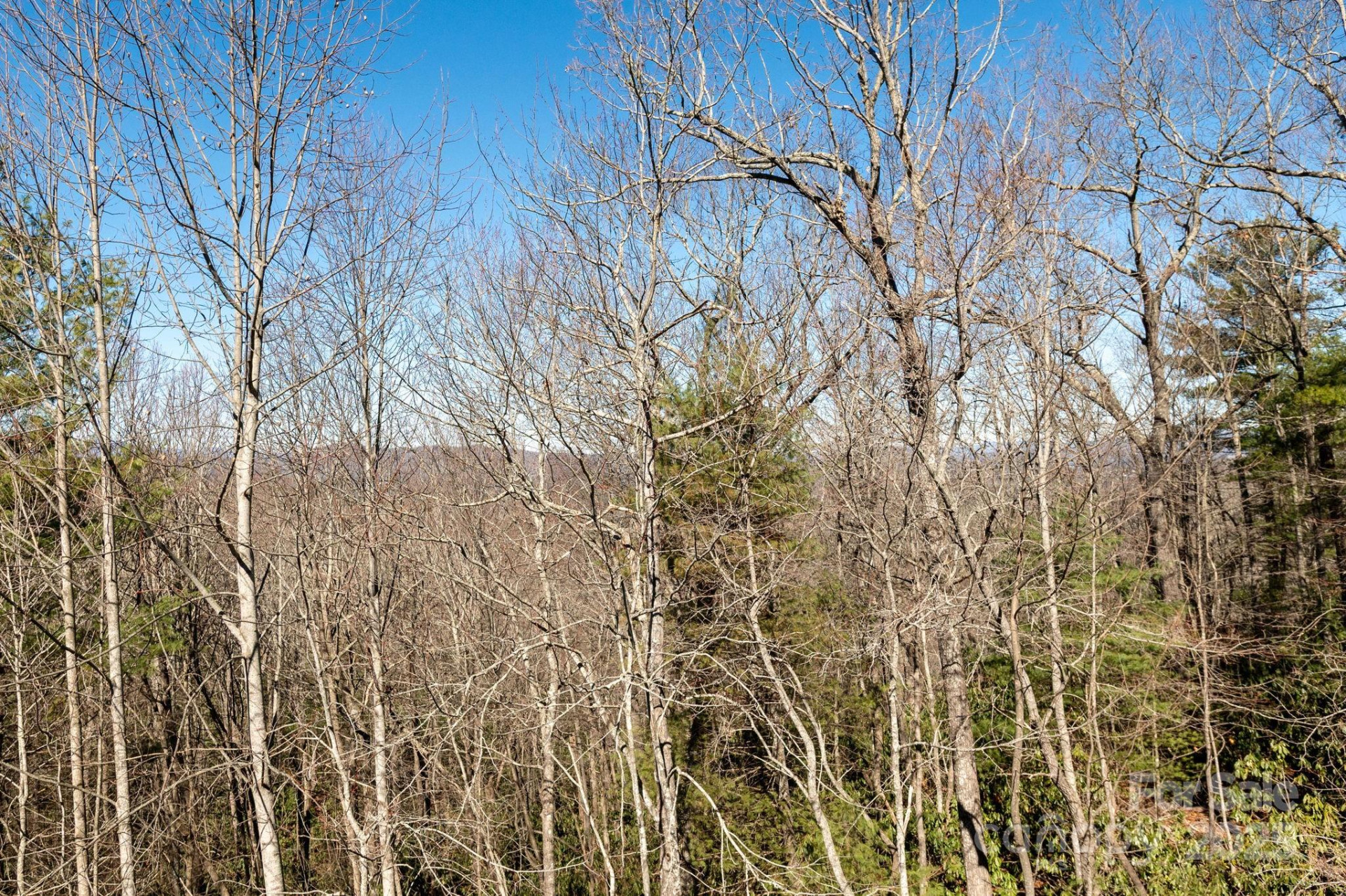 155 POPLAR LOOP Drive - Photo 33