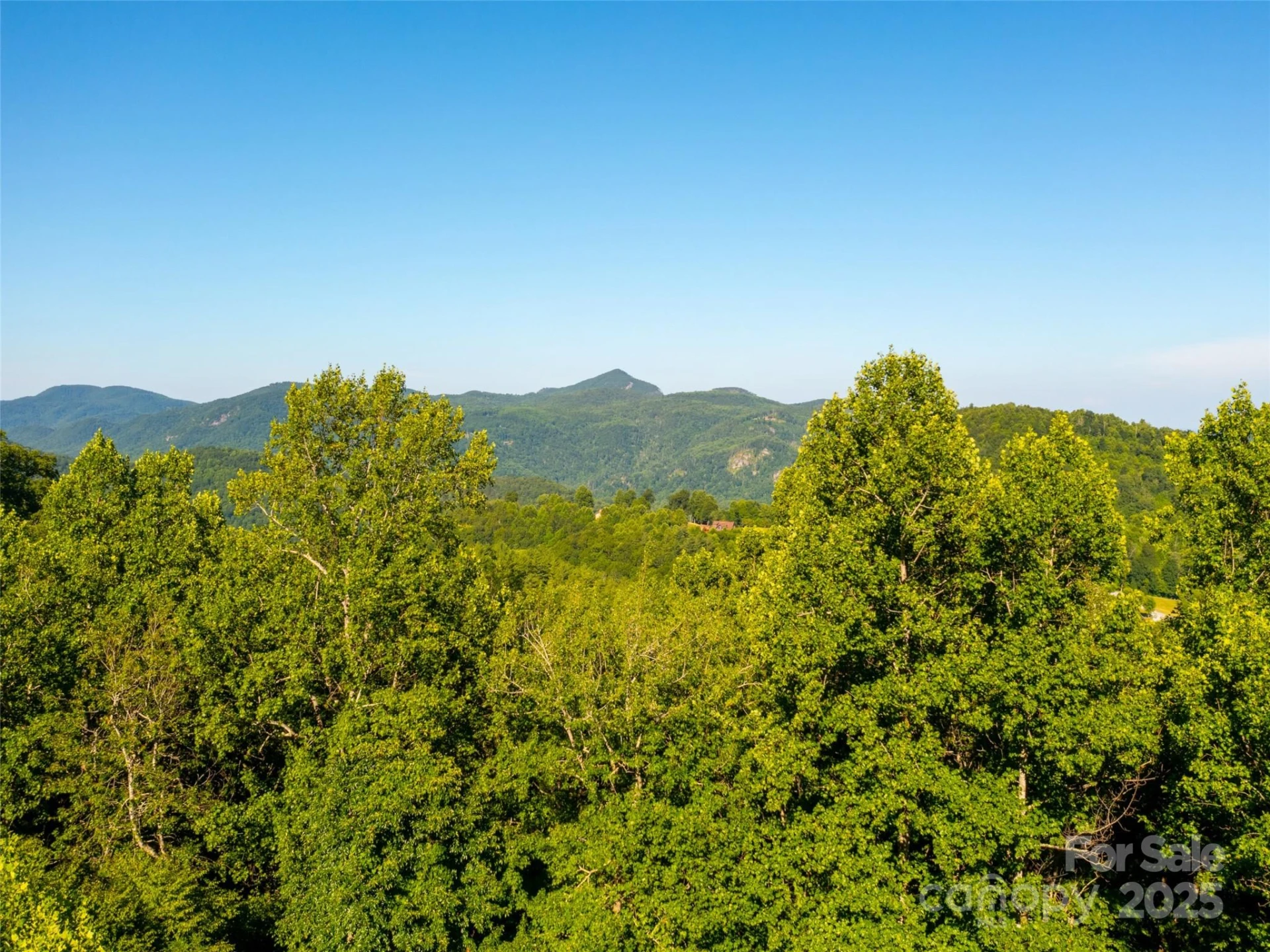 811 Grand Oaks Drive - Photo 2