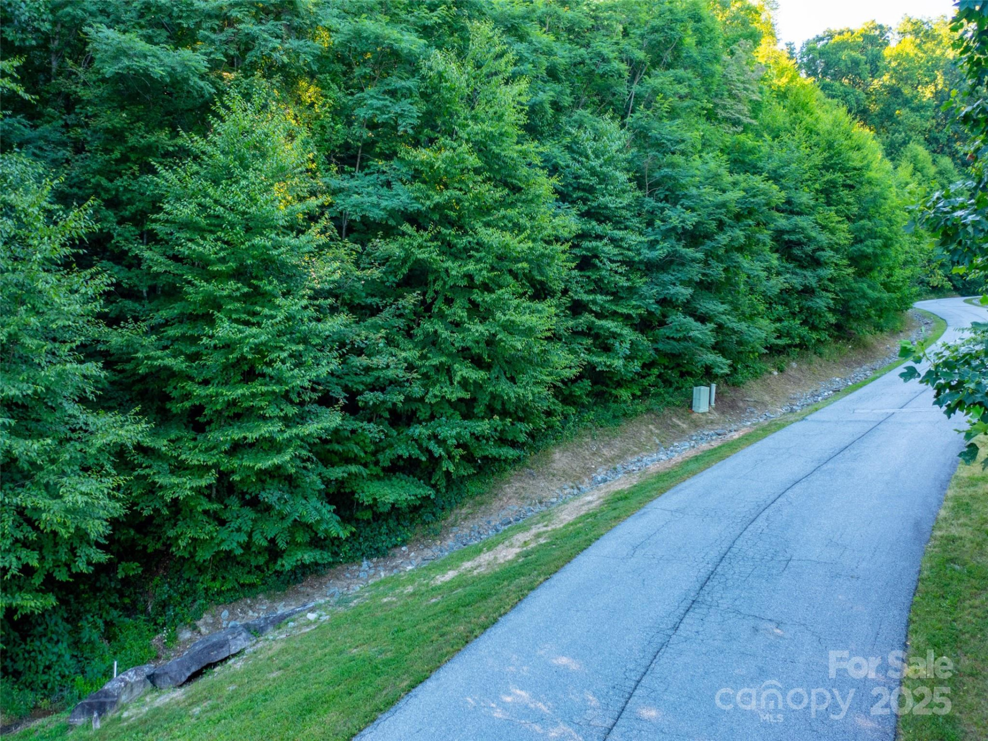 811 Grand Oaks Drive - Photo 3