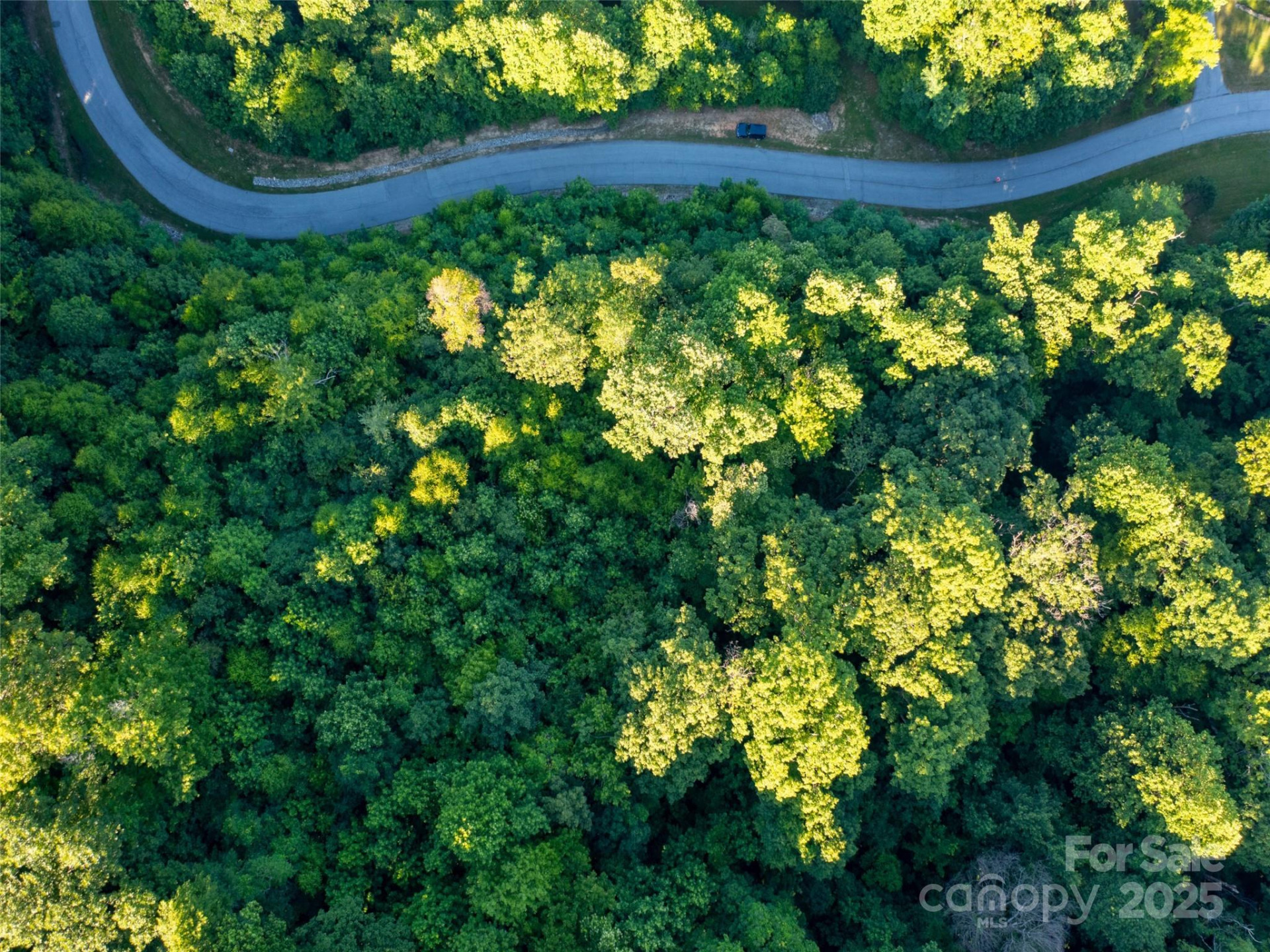 811 Grand Oaks Drive - Photo 4