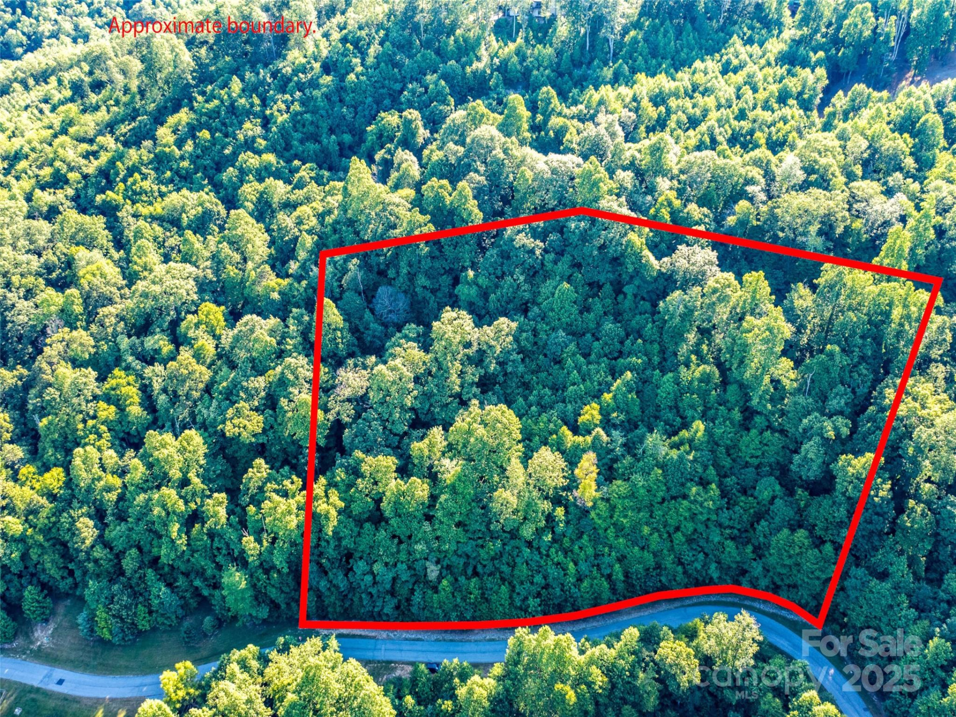 811 Grand Oaks Drive - Photo 5