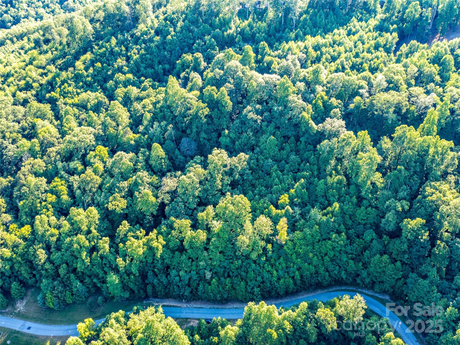 811 Grand Oaks Drive - Photo 6