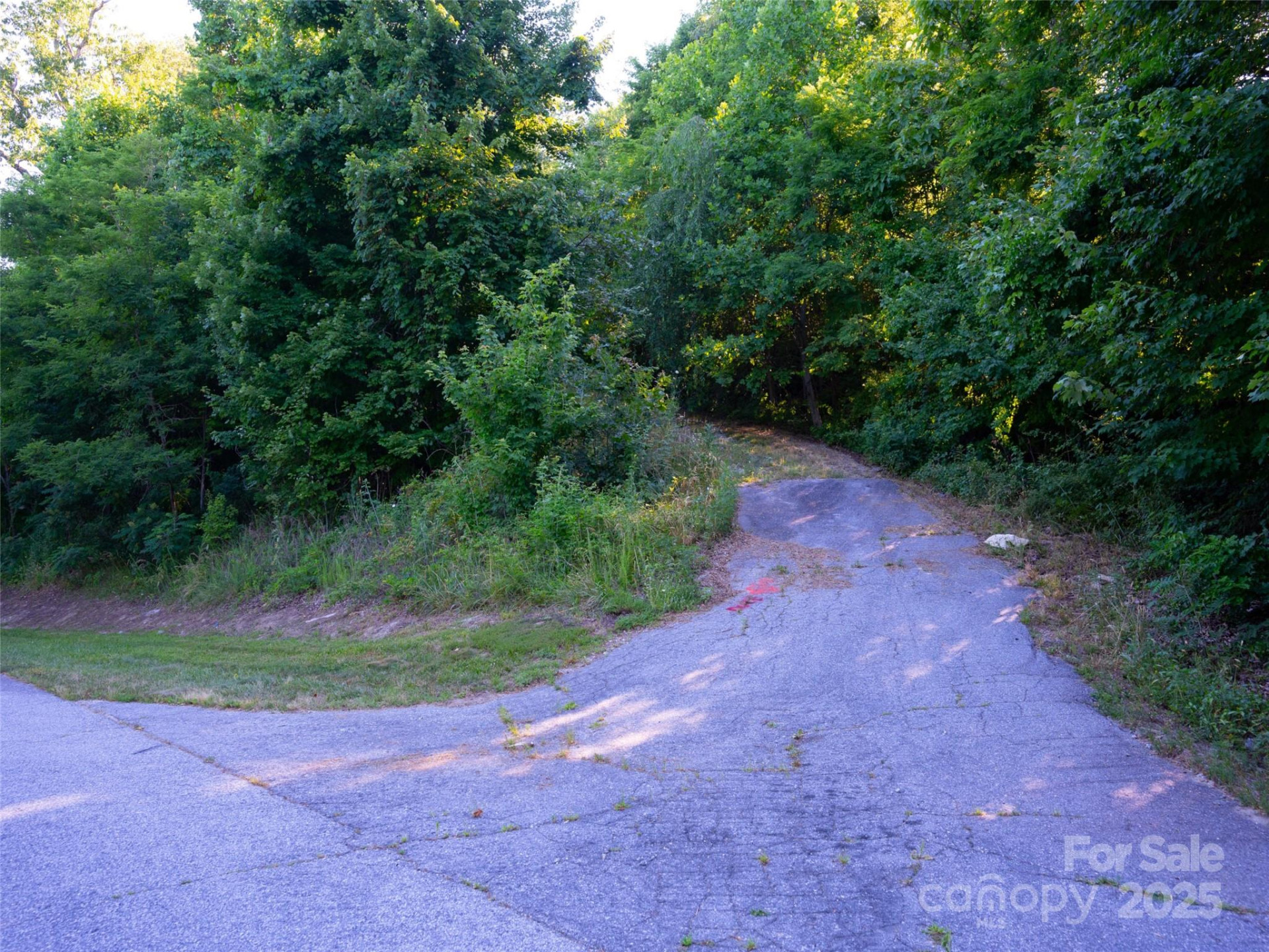 811 Grand Oaks Drive - Photo 7