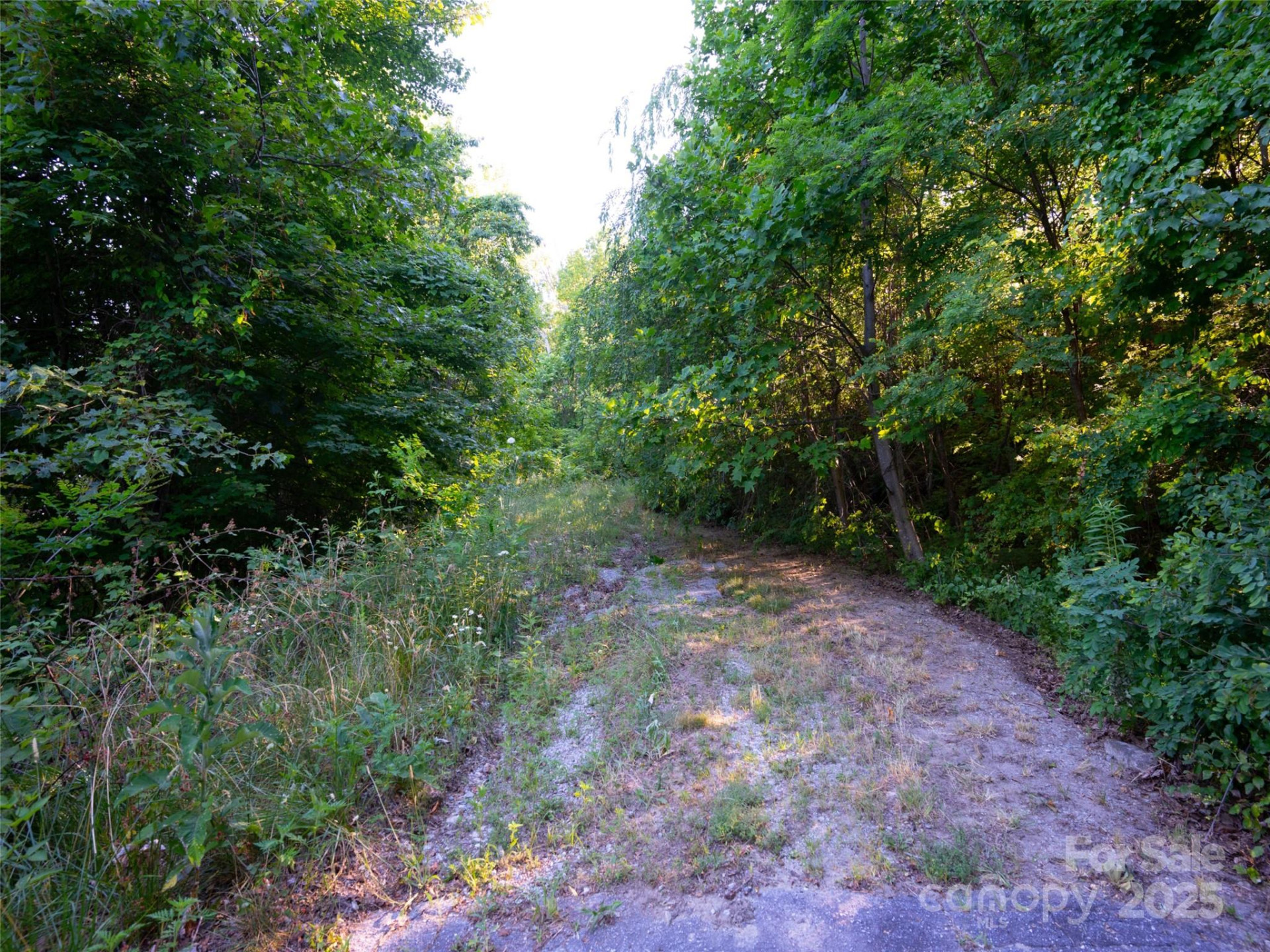 811 Grand Oaks Drive - Photo 8