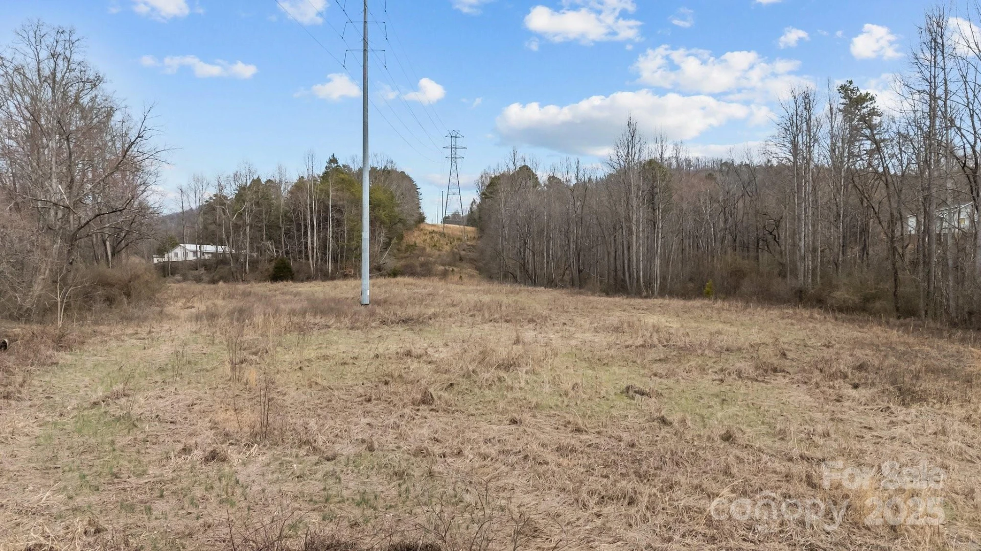 Lot 101 Glenhaven Drive - Photo 3