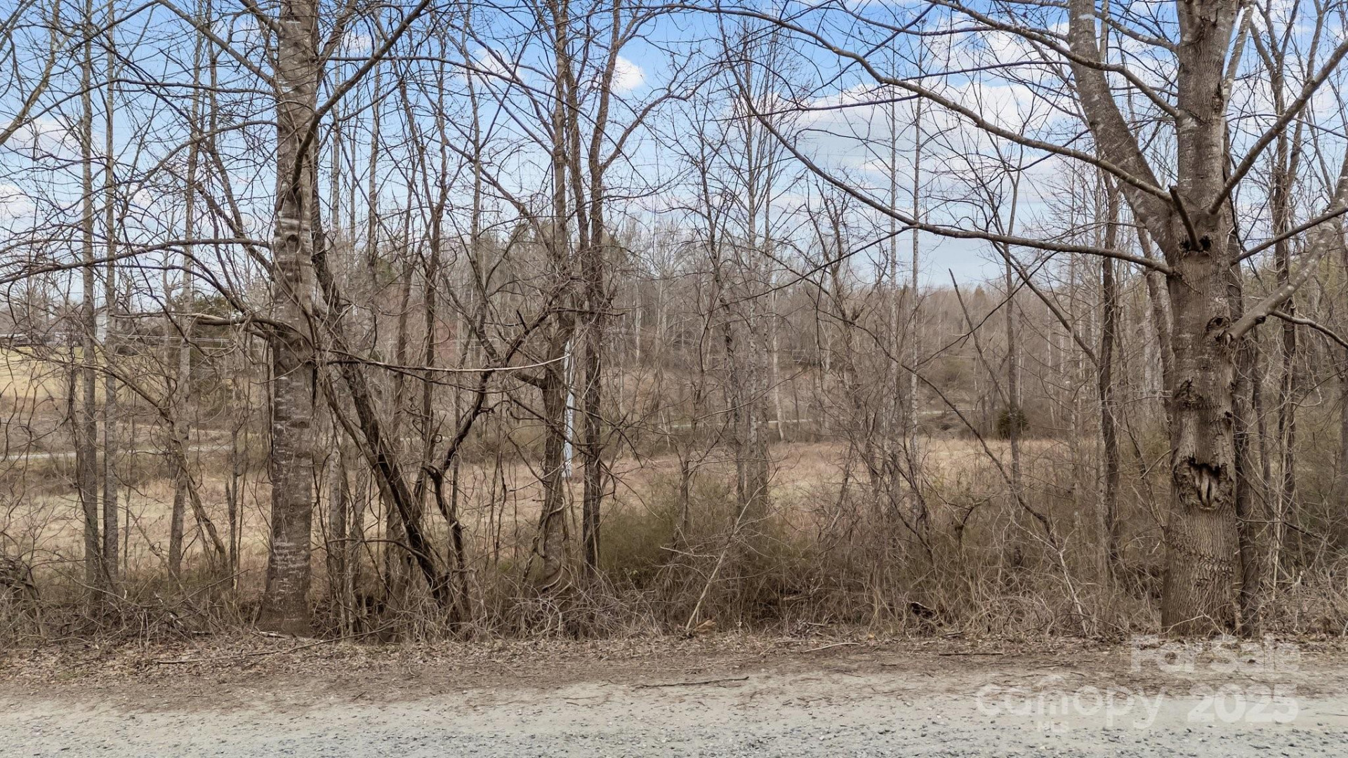 Lot 101 Glenhaven Drive - Photo 4