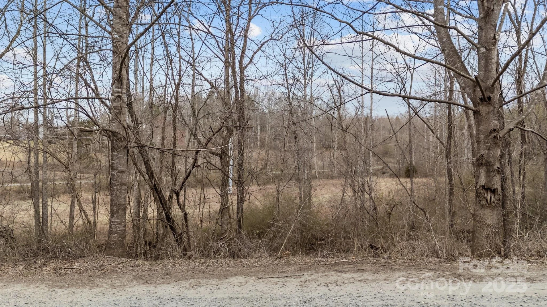 Lot 101 Glenhaven Drive - Photo 4