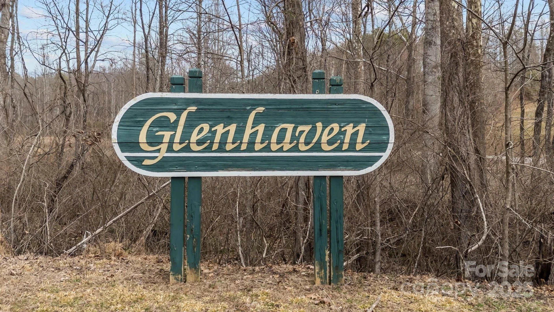 Lot 101 Glenhaven Drive - Photo 5
