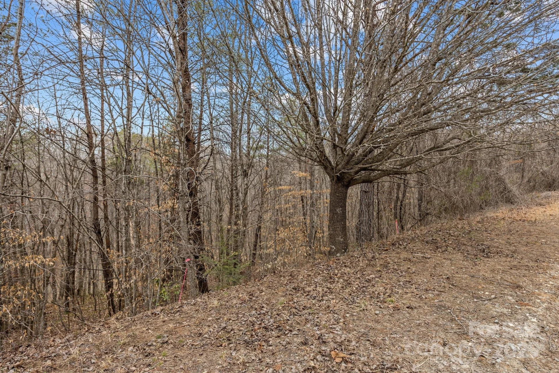 Lot 102 Glenhaven Drive - Photo 3
