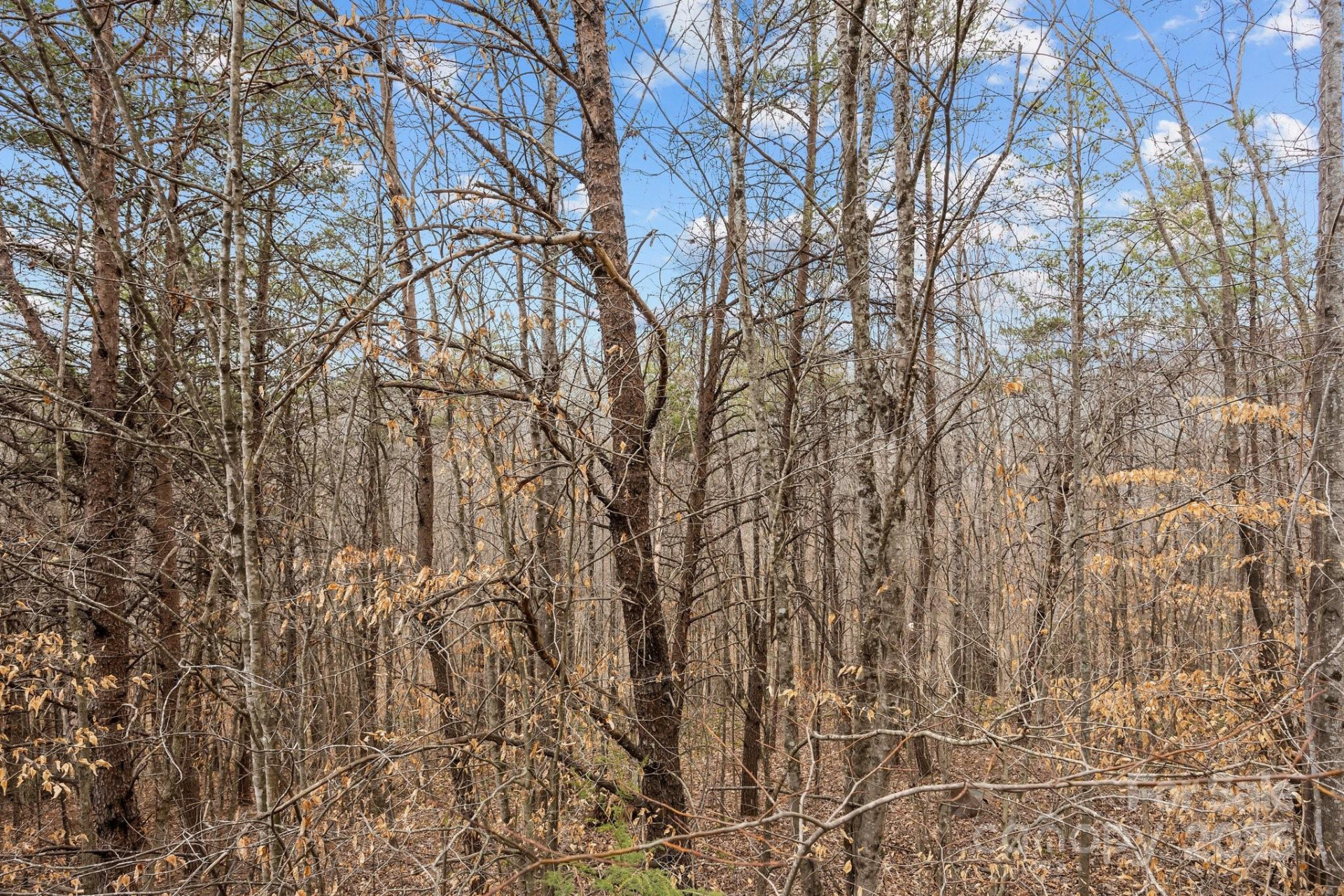 Lot 102 Glenhaven Drive - Photo 4