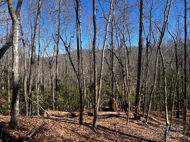 Lot 68 Cherrywood Lane, Pisgah Forest, NC, 28768