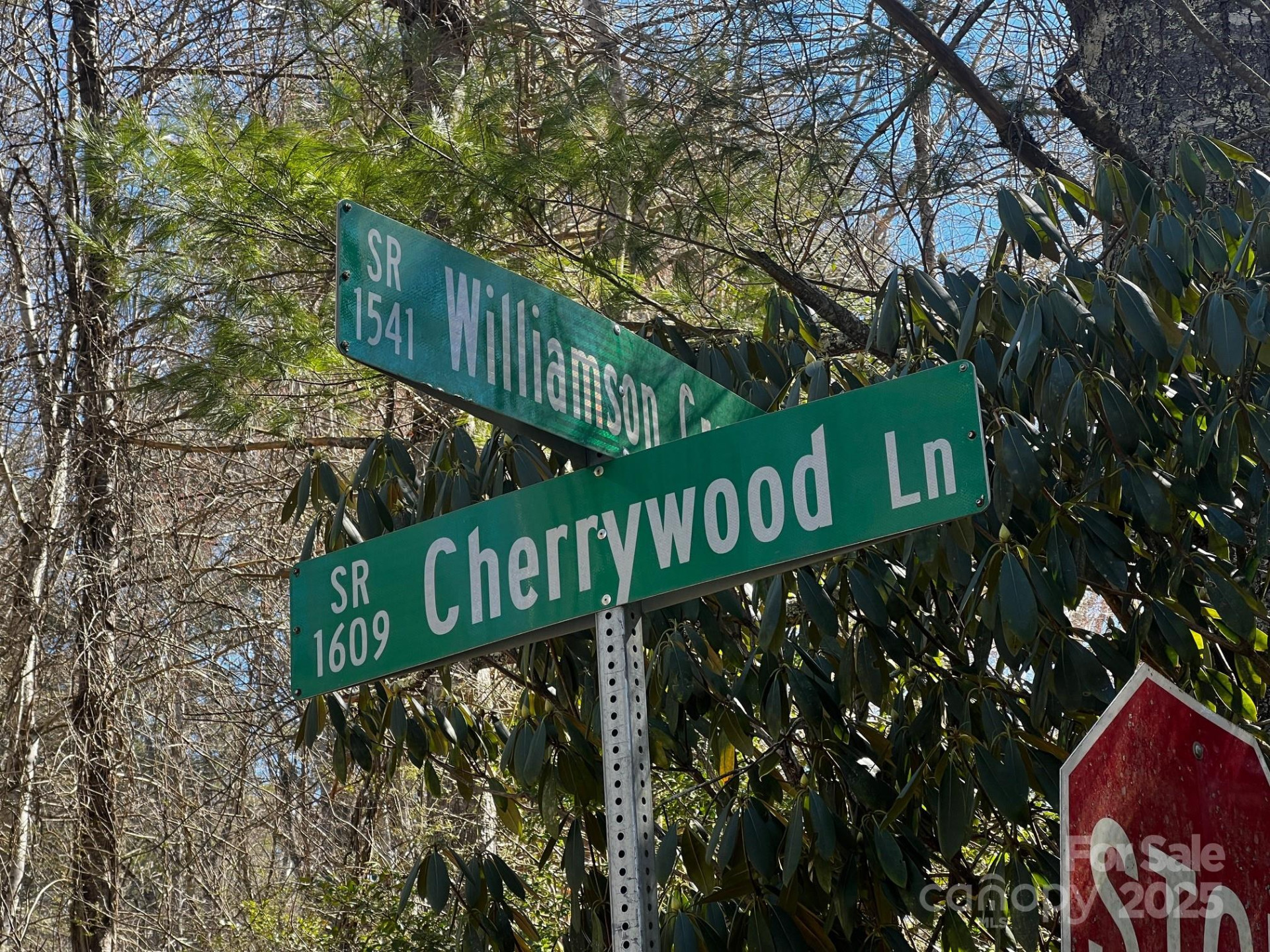 Lot 68 Cherrywood Lane - Photo 11