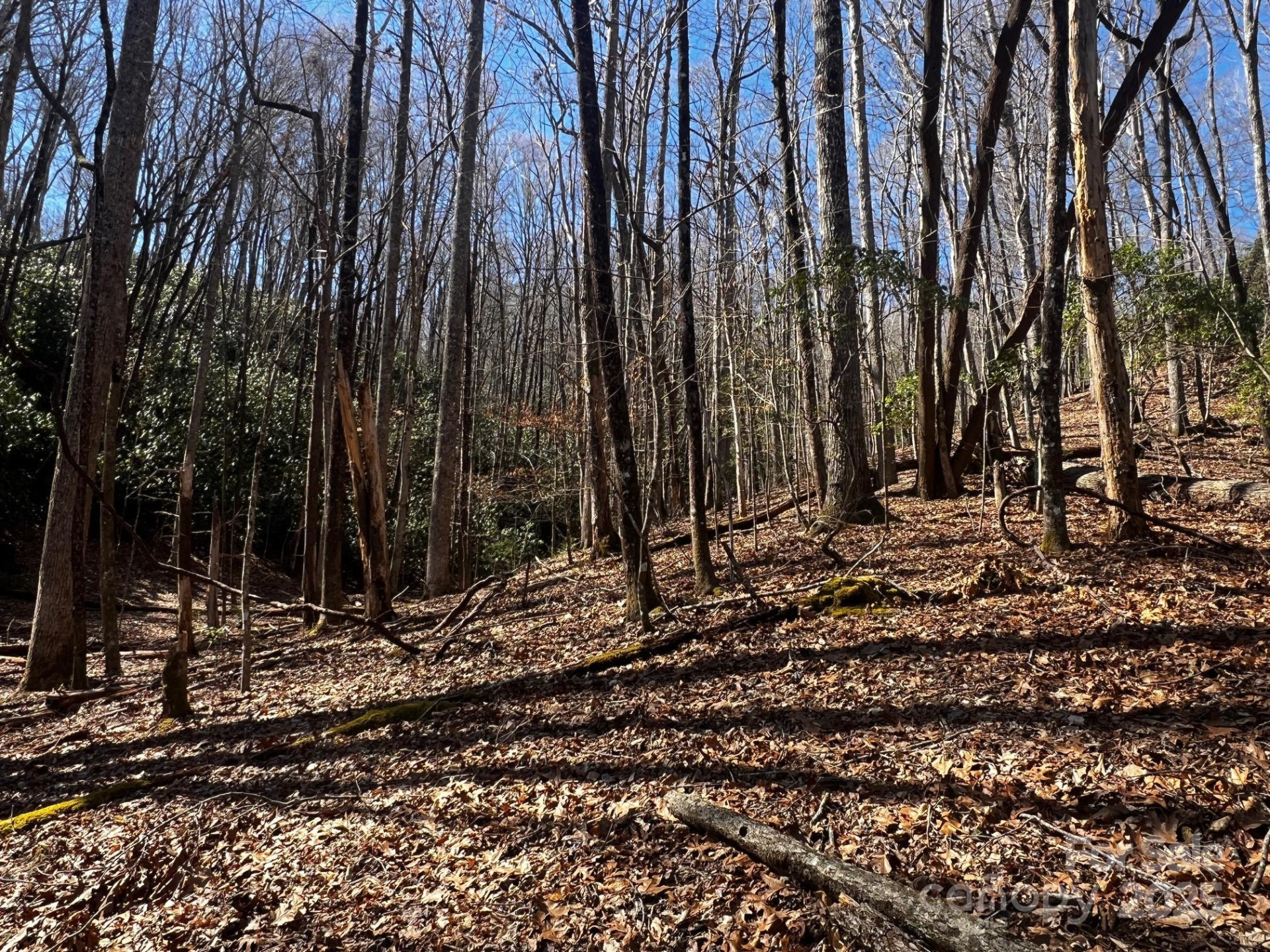 Lot 68 Cherrywood Lane - Photo 5