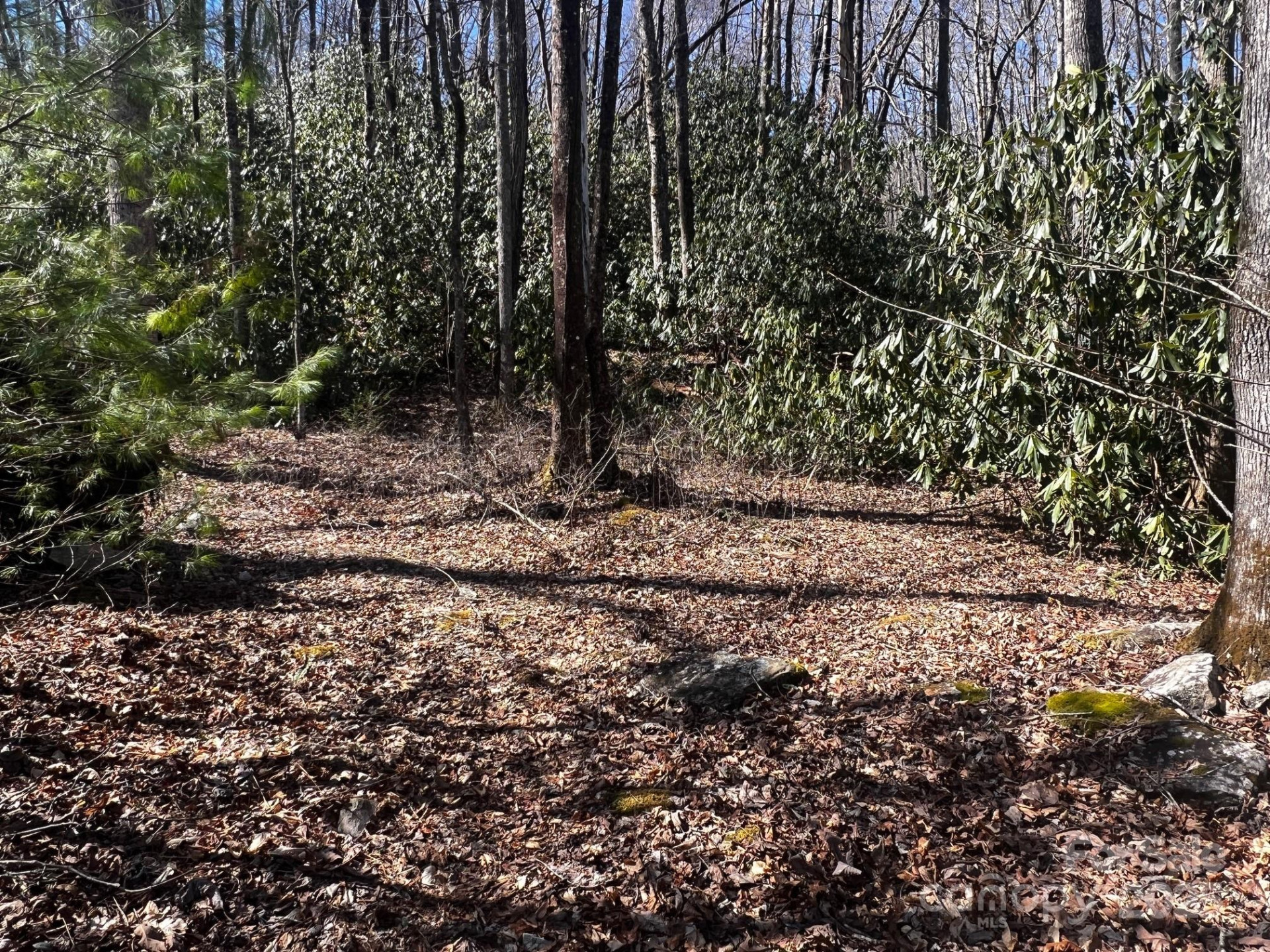 Lot 68 Cherrywood Lane - Photo 6