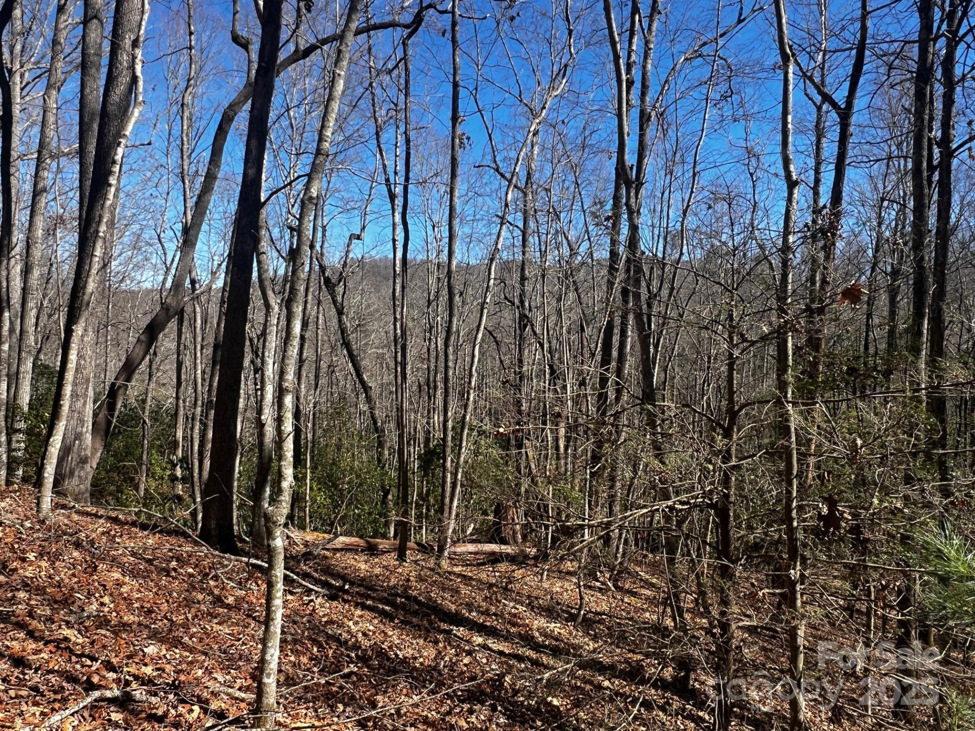 Lot 68 Cherrywood Lane - Photo 7