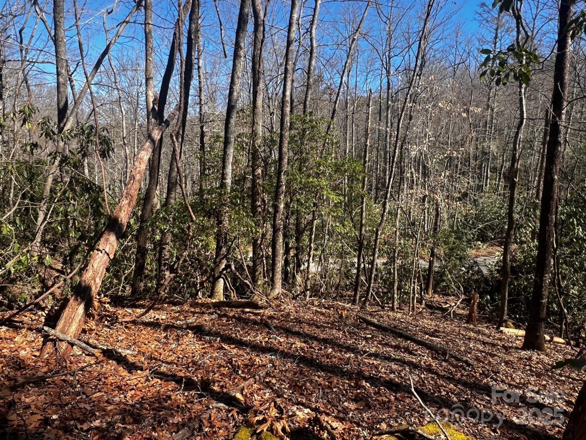 Lot 68 Cherrywood Lane - Photo 8