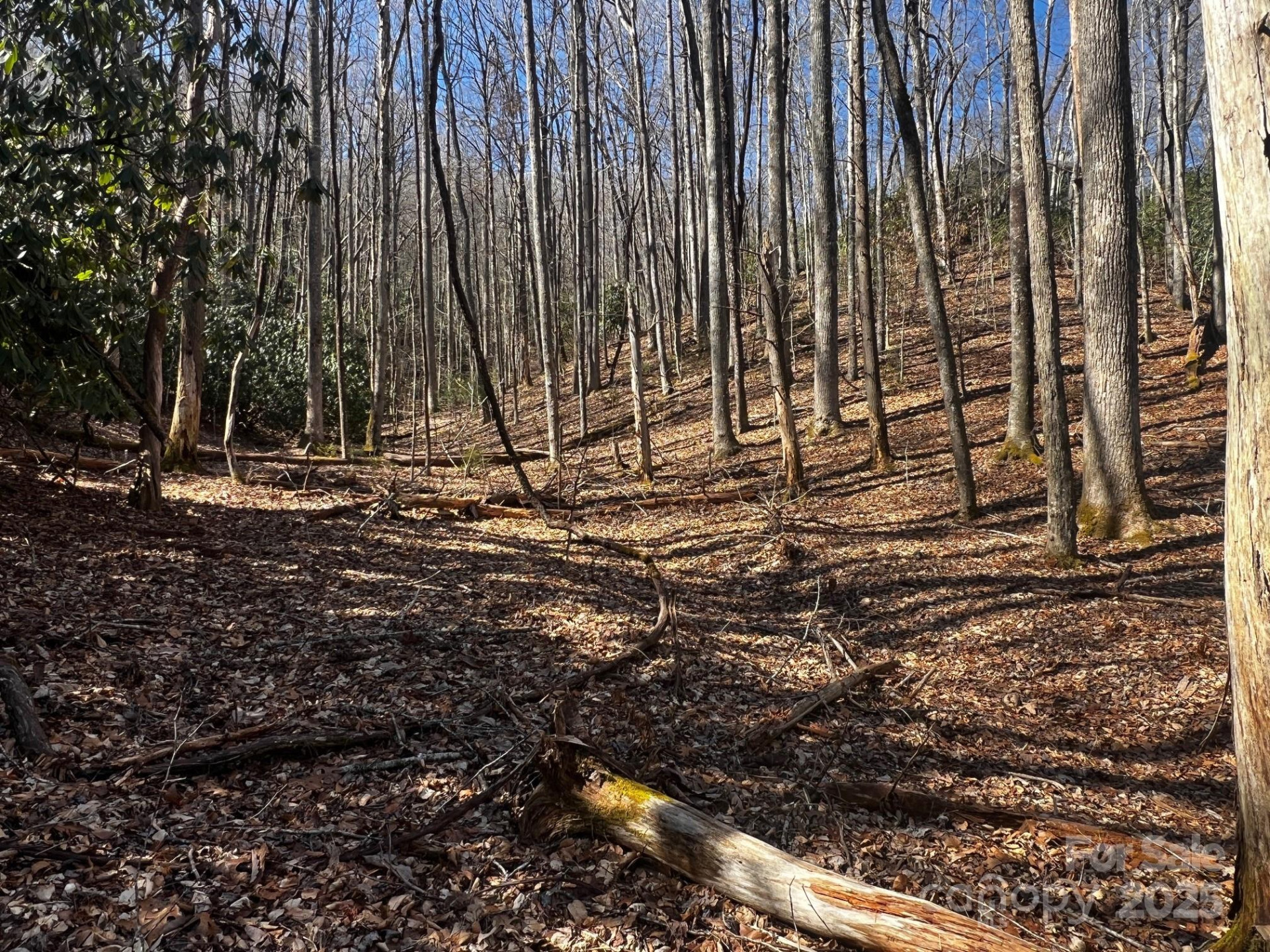 Lot 68 Cherrywood Lane - Photo 9