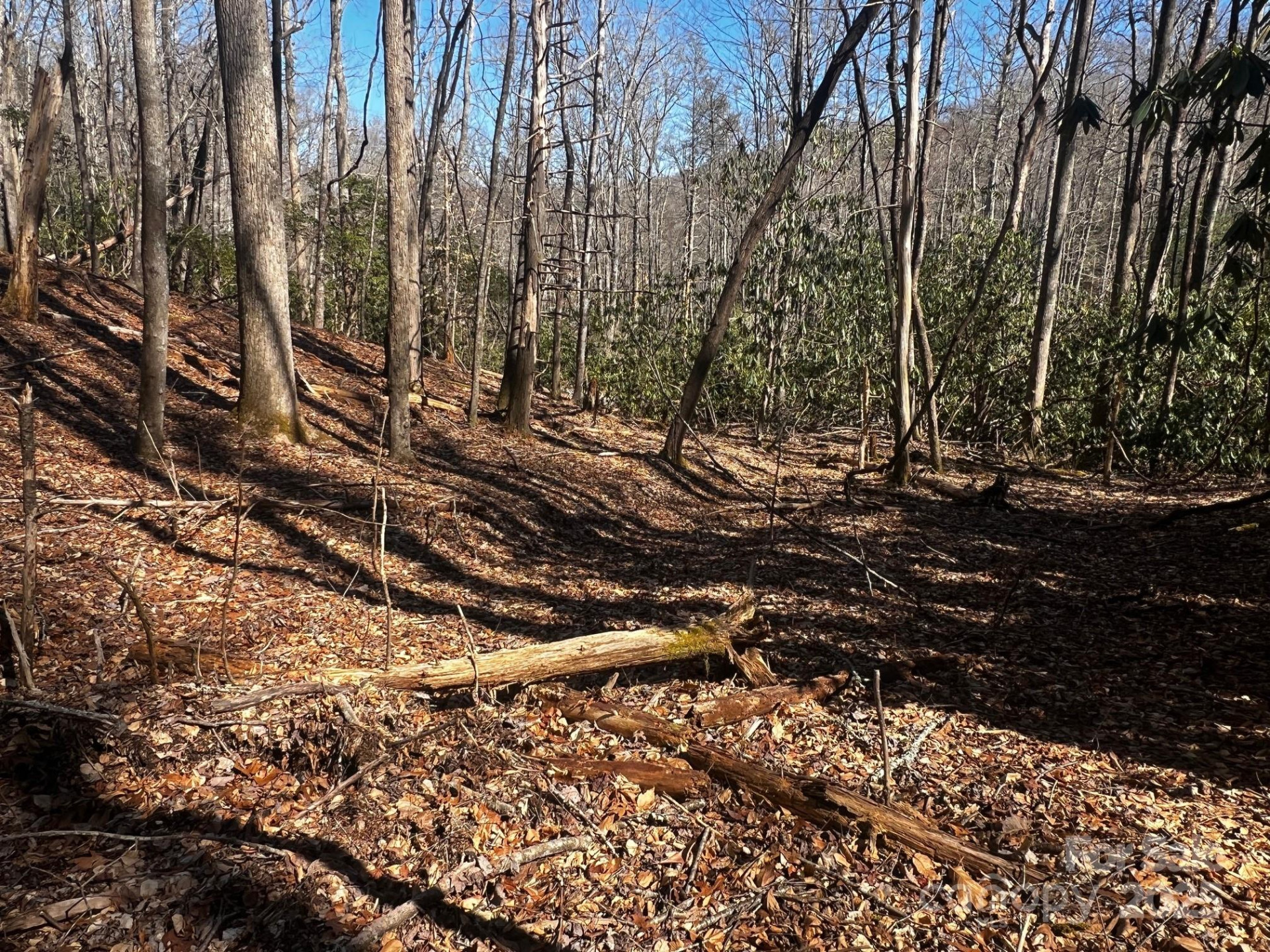 Lot 68 Cherrywood Lane - Photo 10