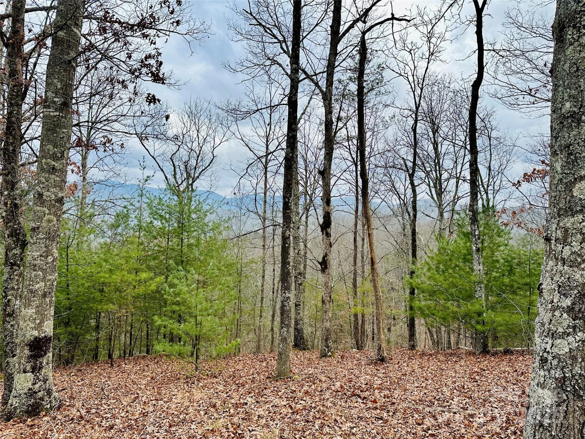 275 Raccoon Run #24