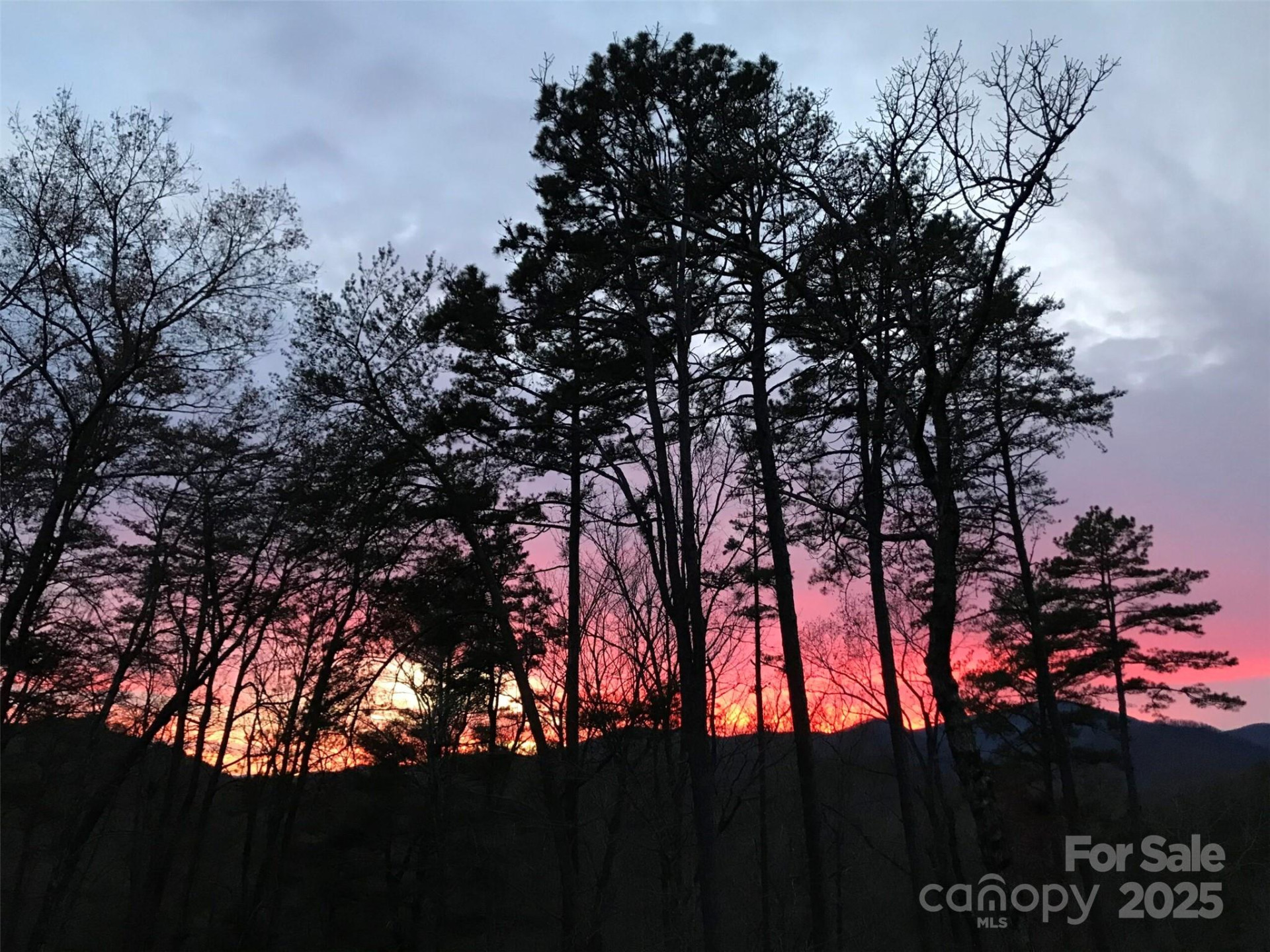 000 Raven Boulevard #65 - Photo 5