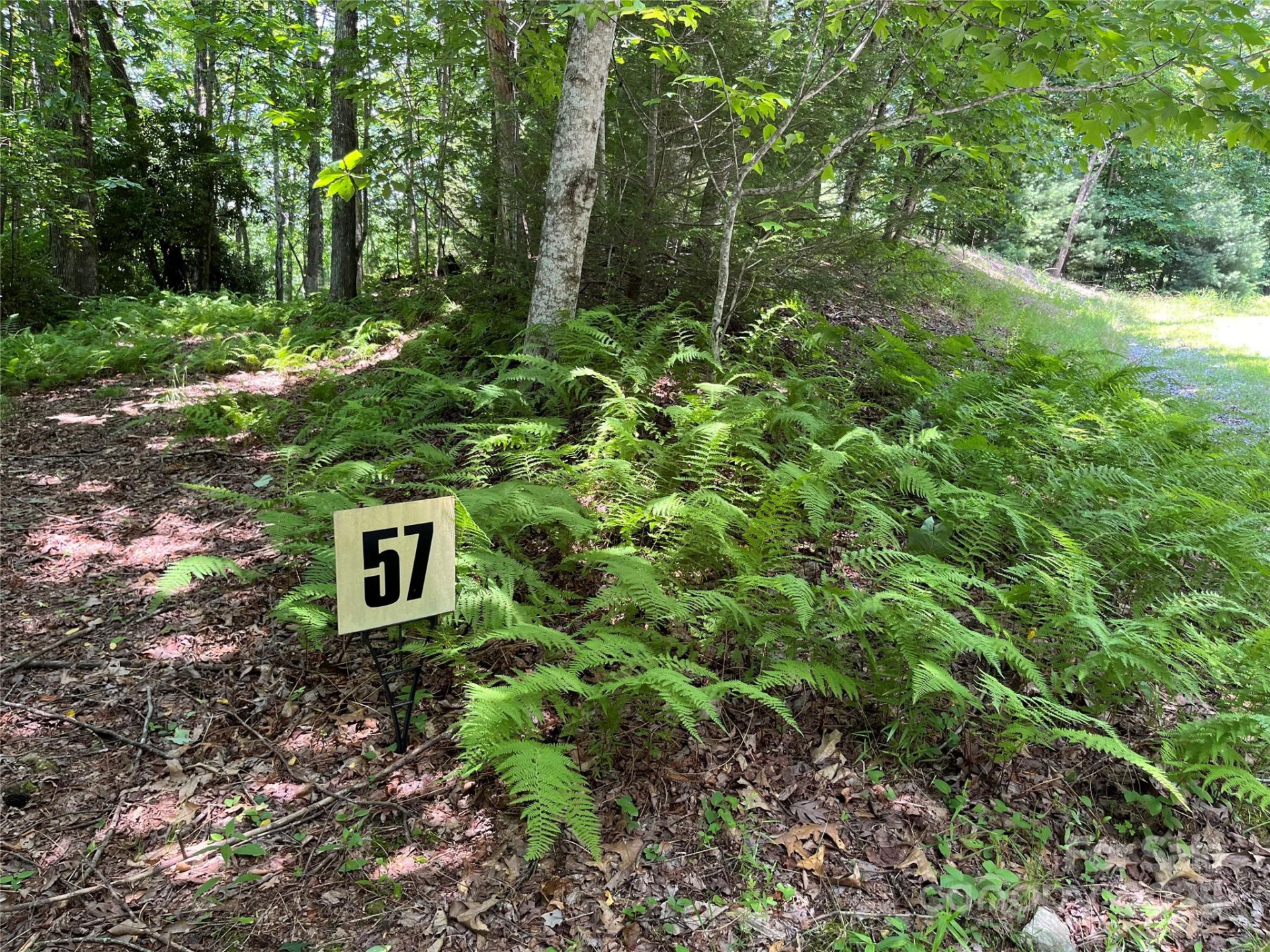 57 Big Branch Road - Photo 2