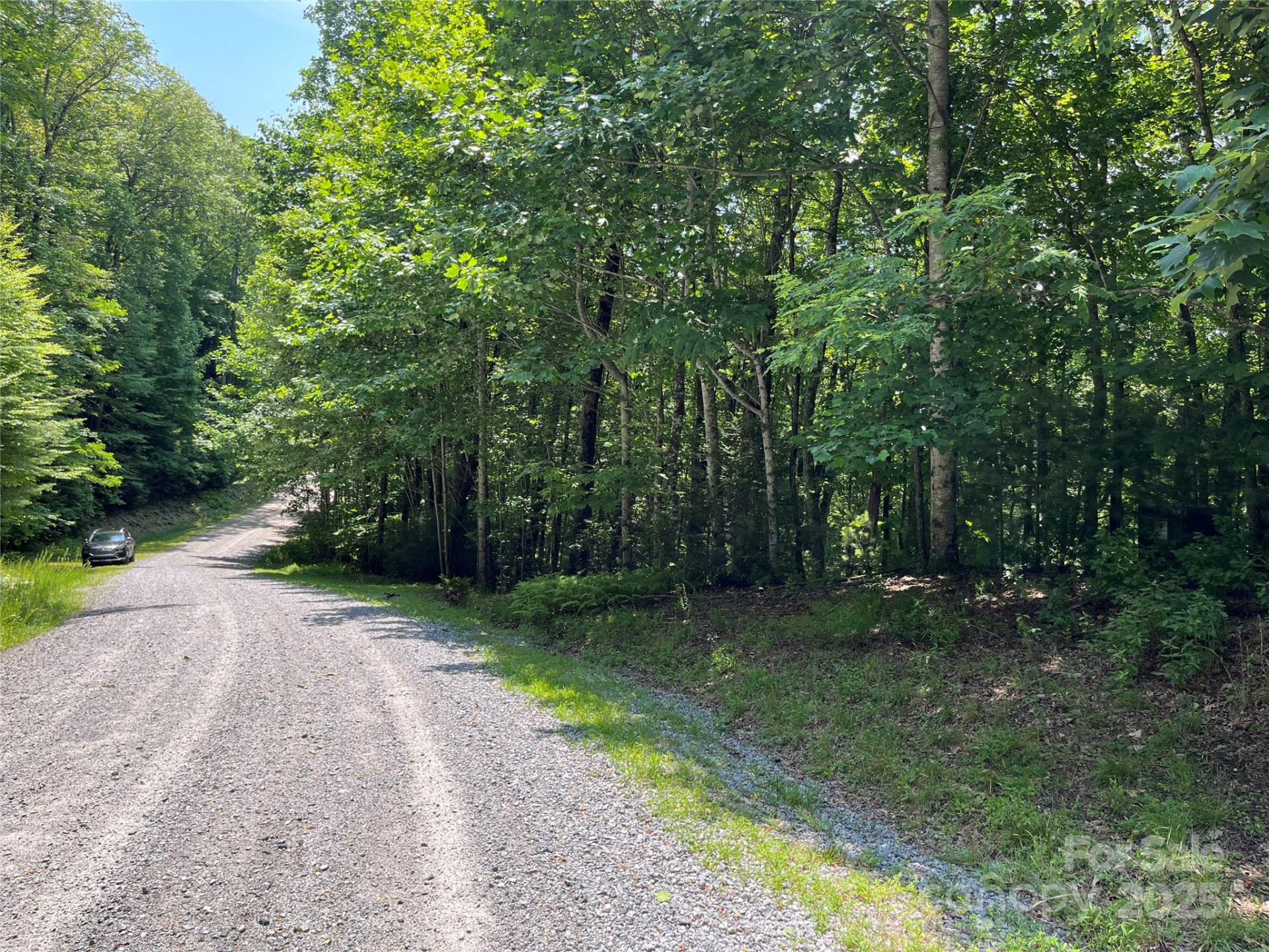 57 Big Branch Road - Photo 11