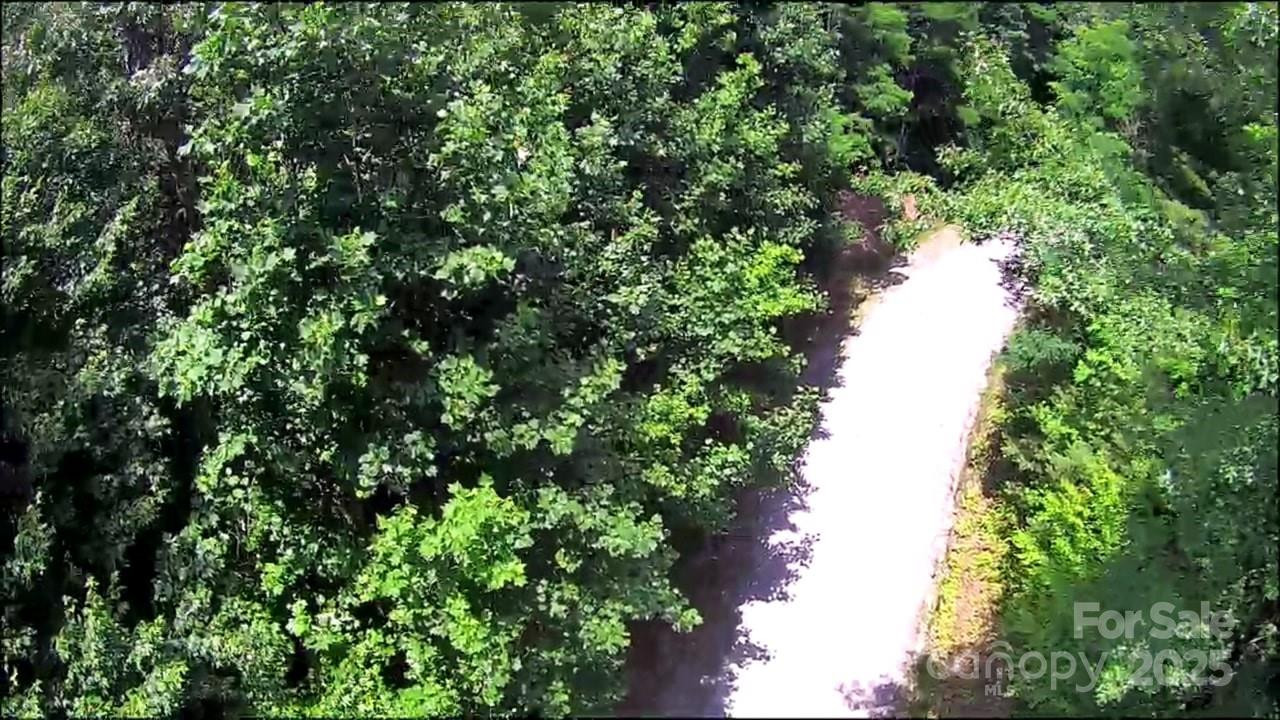 57 Big Branch Road - Photo 13