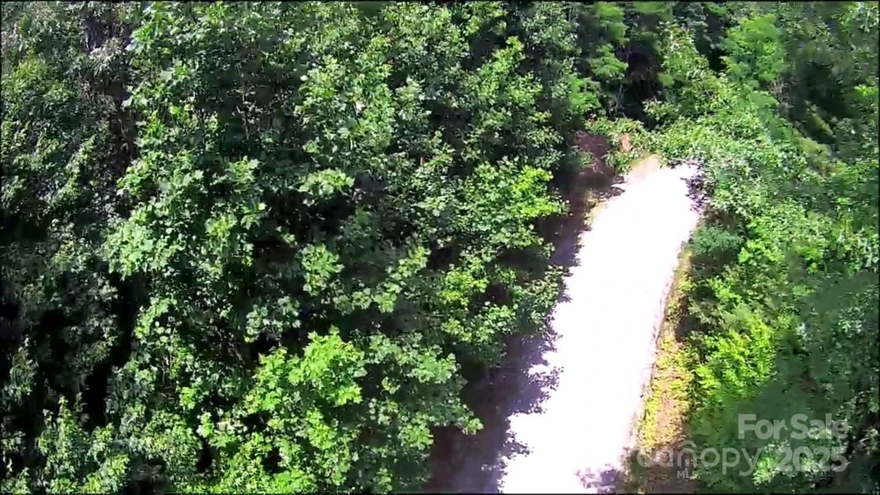 57 Big Branch Road - Photo 13