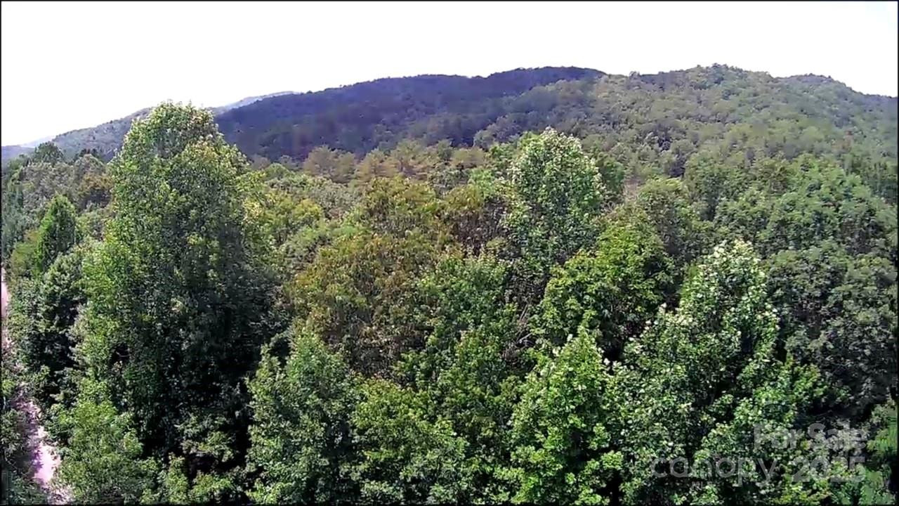 57 Big Branch Road - Photo 16