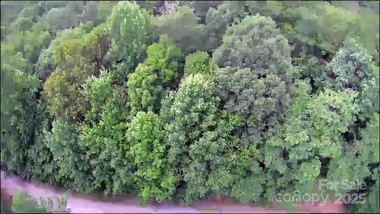 57 Big Branch Road - Photo 17