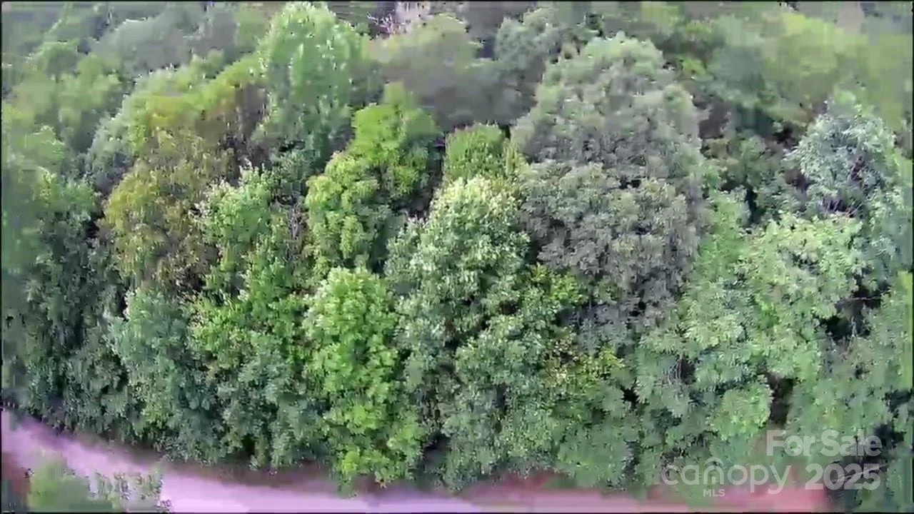 57 Big Branch Road - Photo 17
