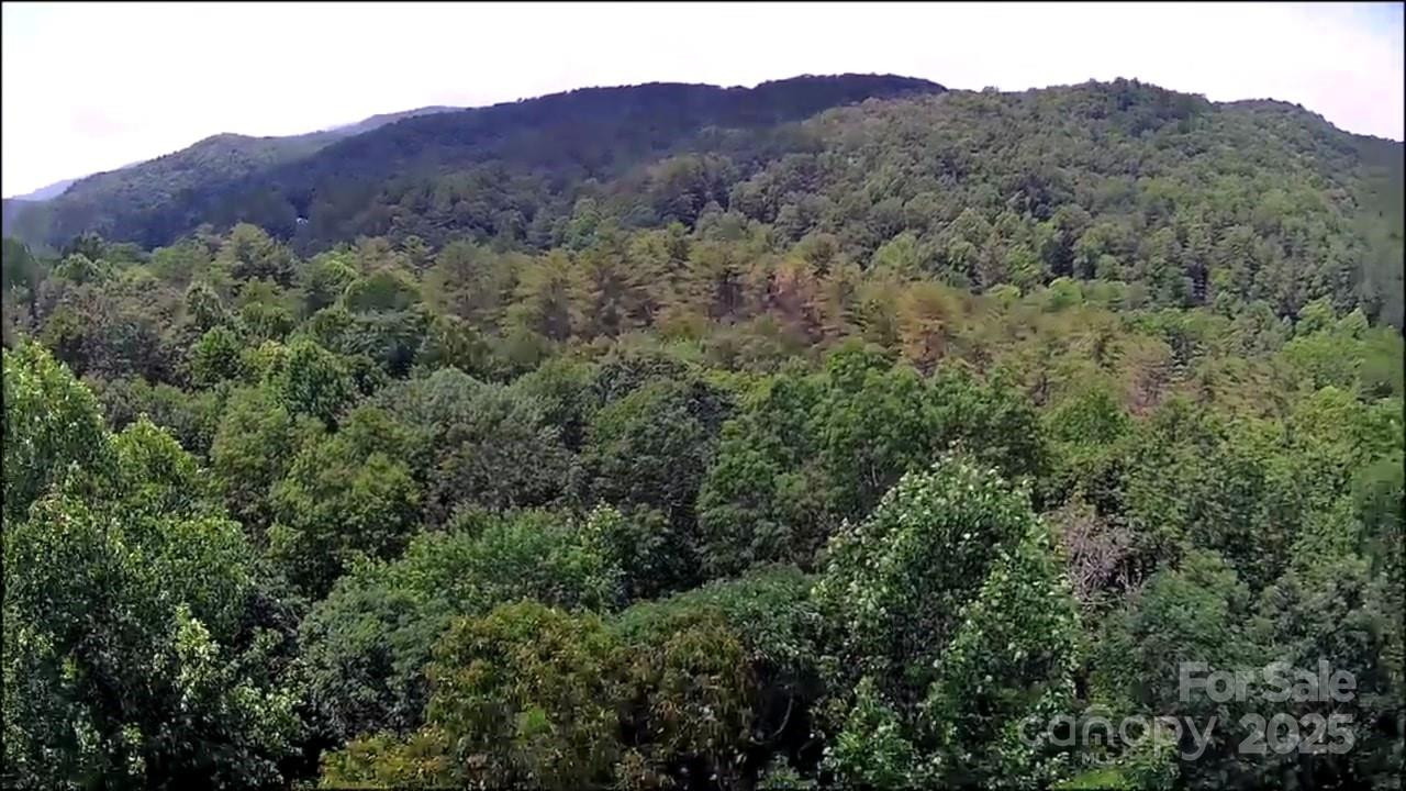 57 Big Branch Road - Photo 18