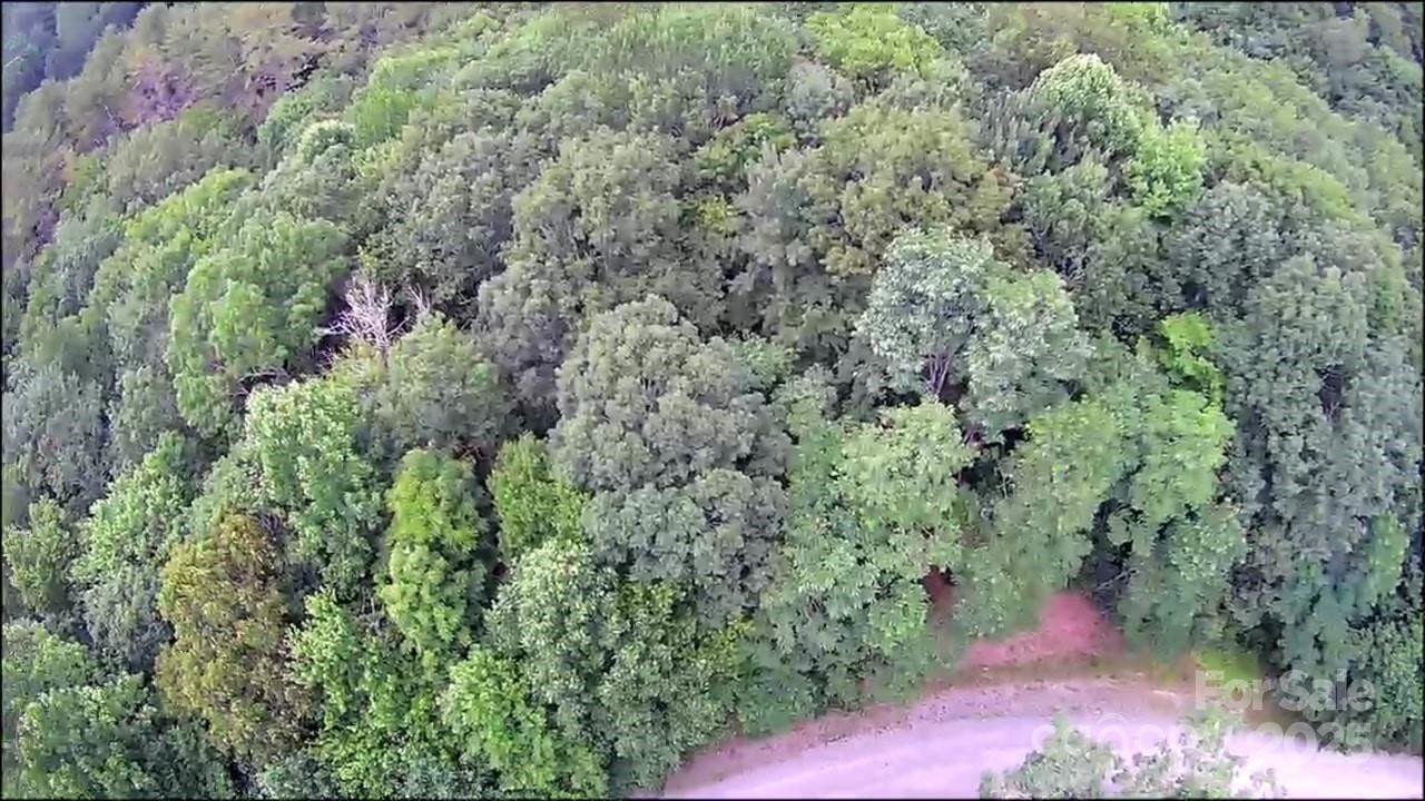 57 Big Branch Road - Photo 20