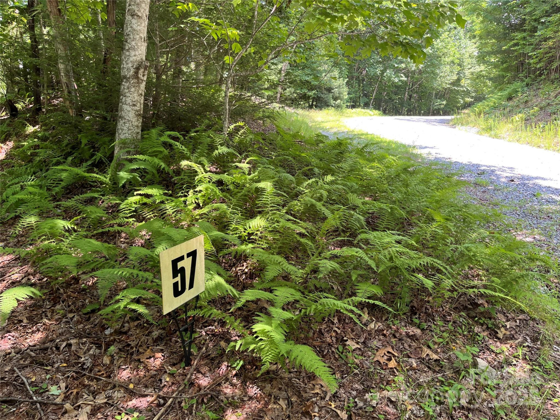 57 Big Branch Road - Photo 3