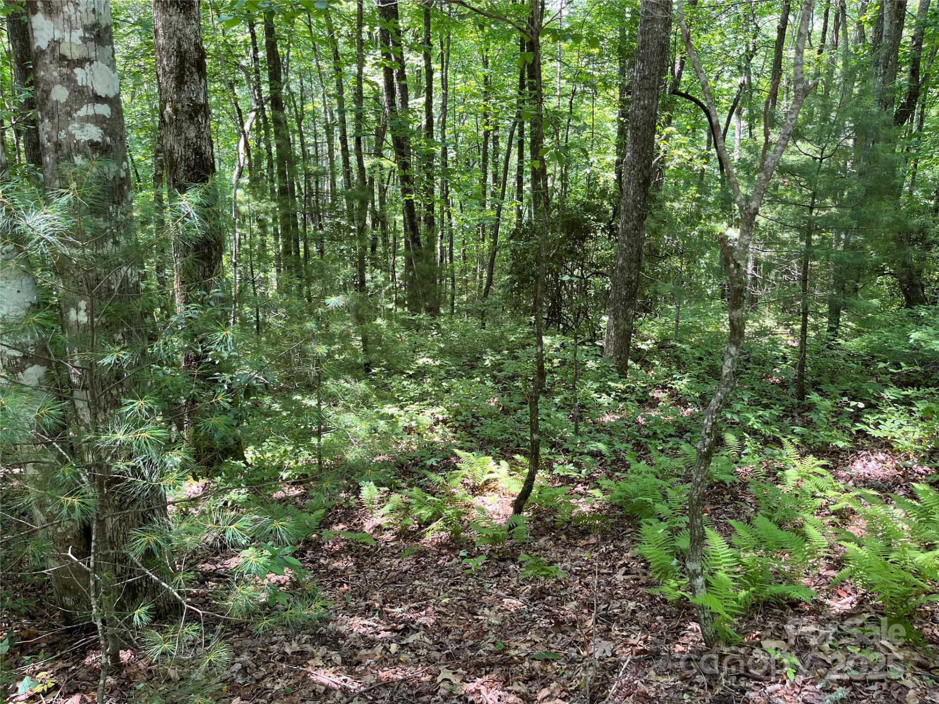 57 Big Branch Road - Photo 4