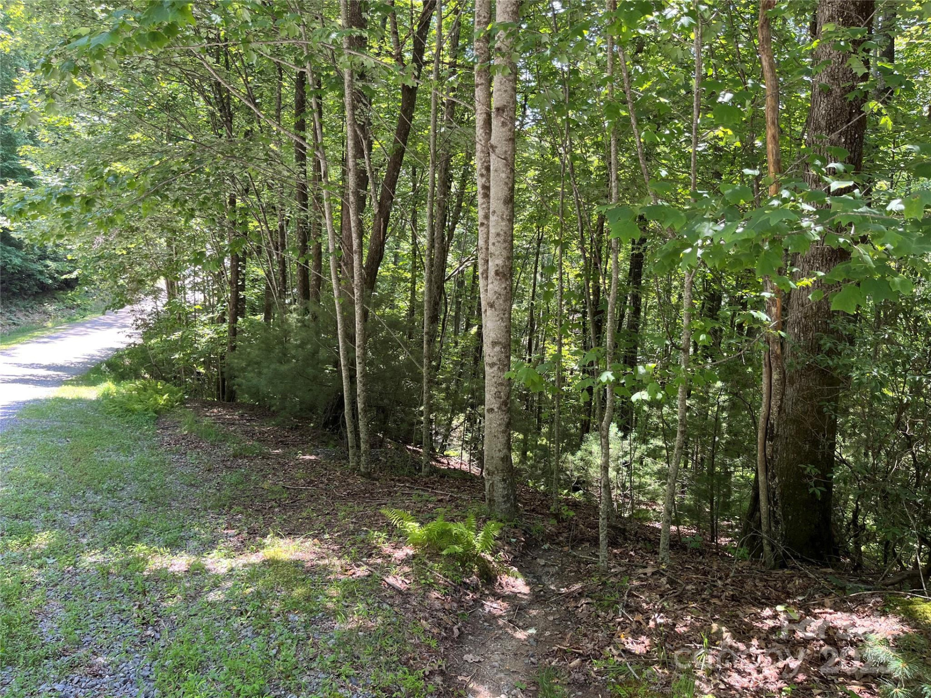 57 Big Branch Road - Photo 6