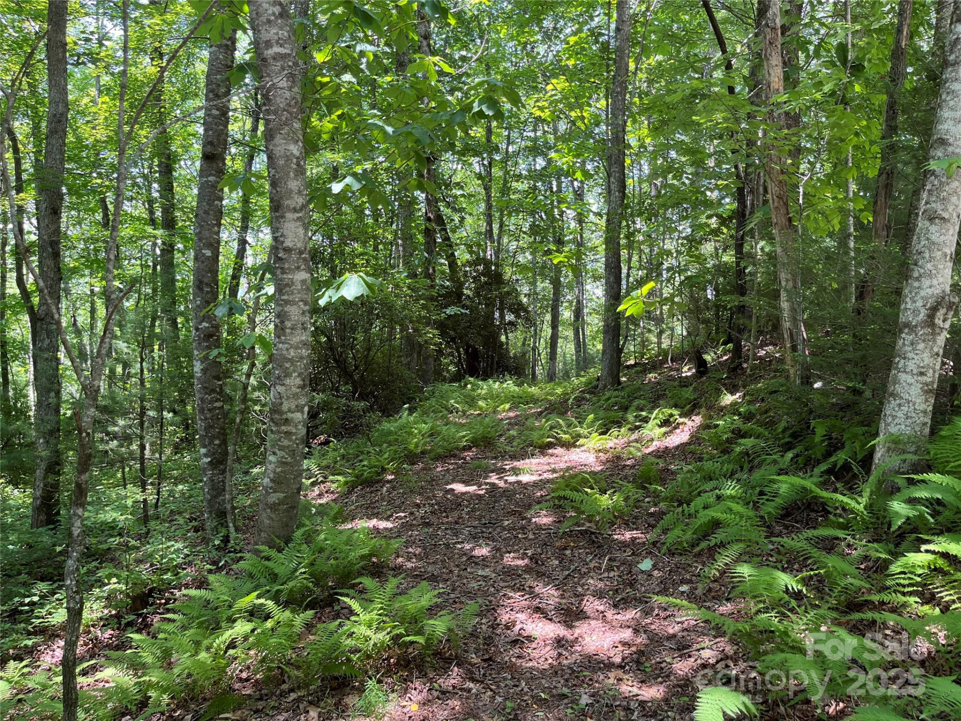 57 Big Branch Road - Photo 7