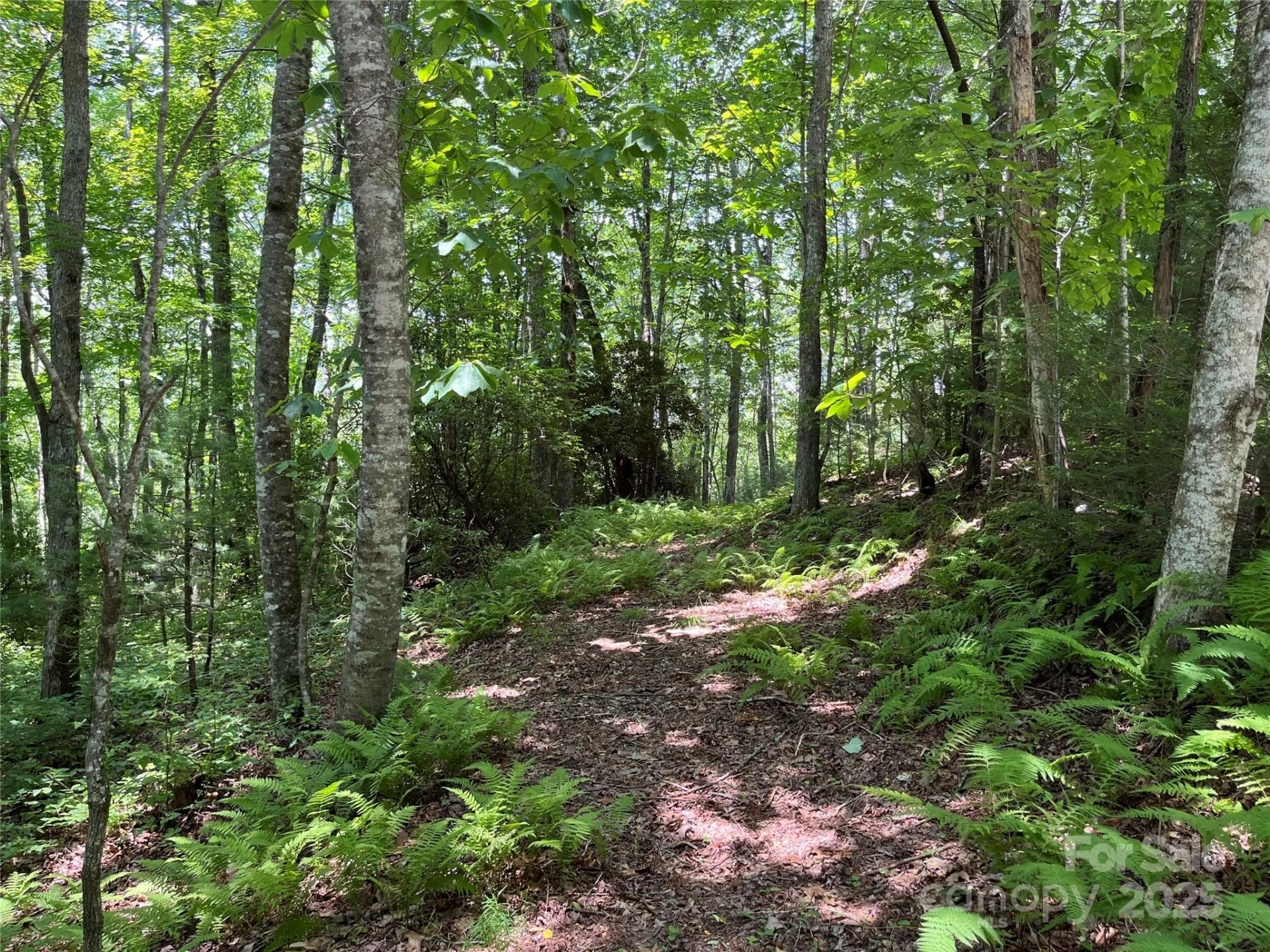 57 Big Branch Road - Photo 7