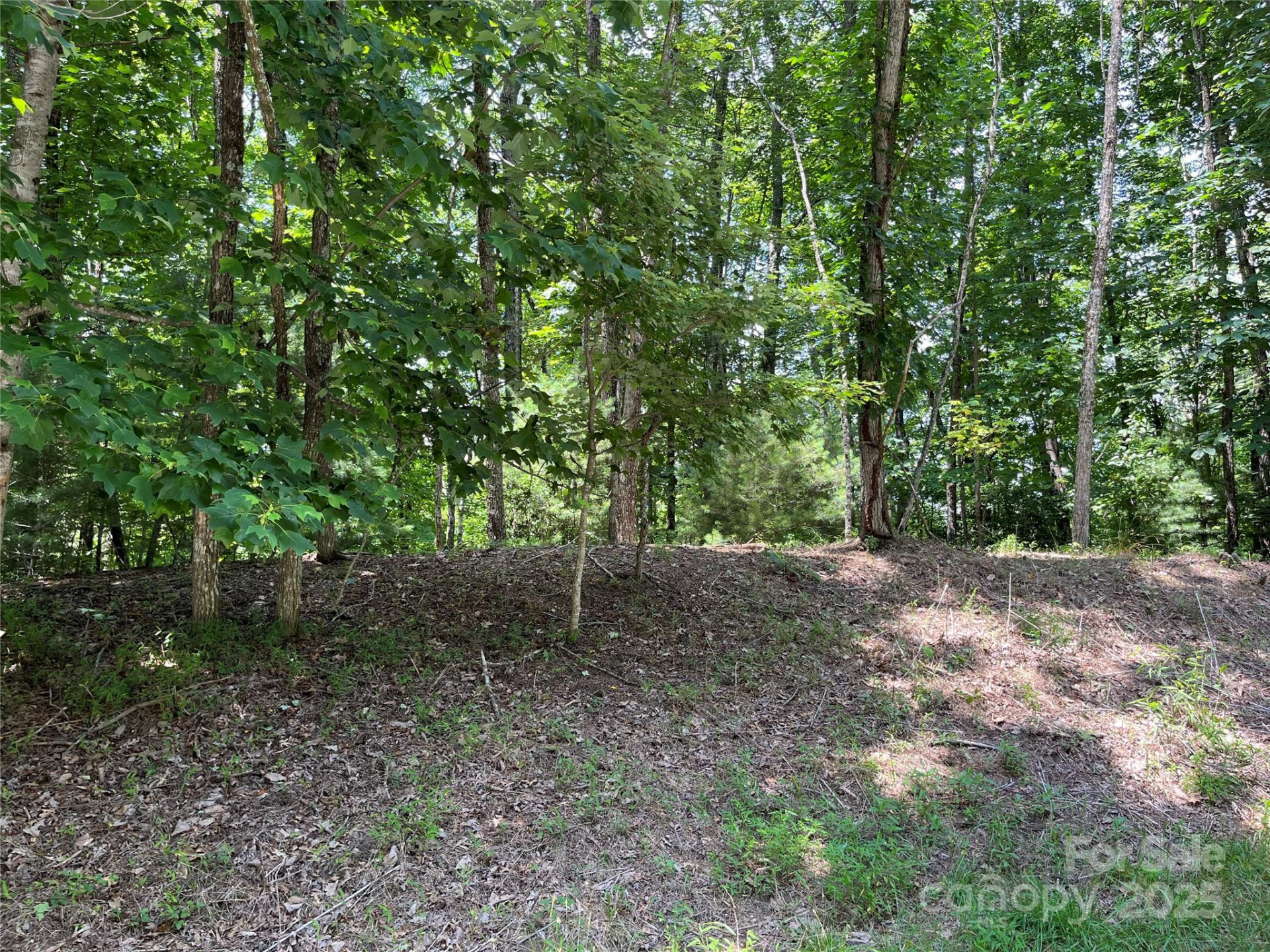 57 Big Branch Road - Photo 8