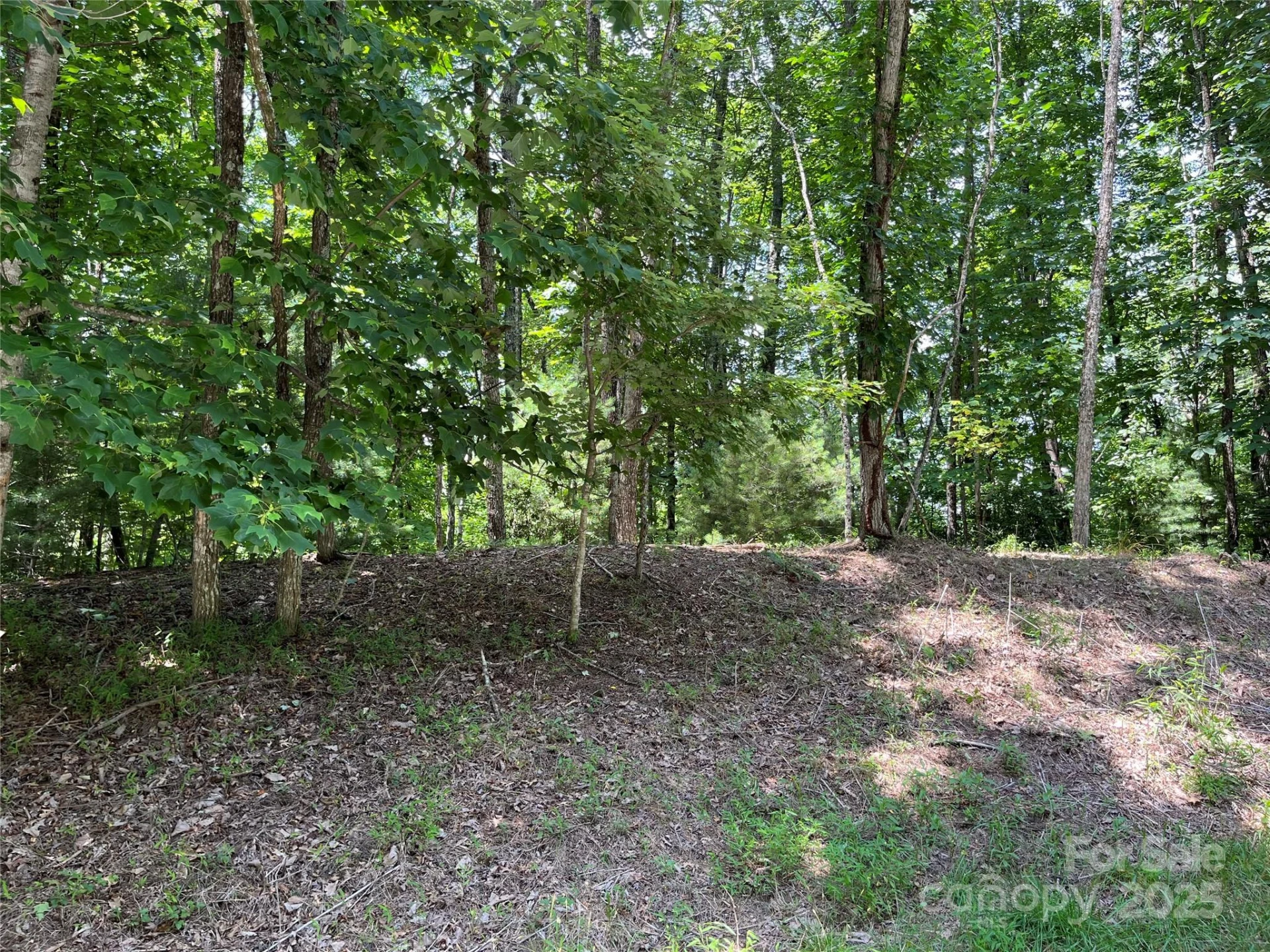57 Big Branch Road - Photo 8
