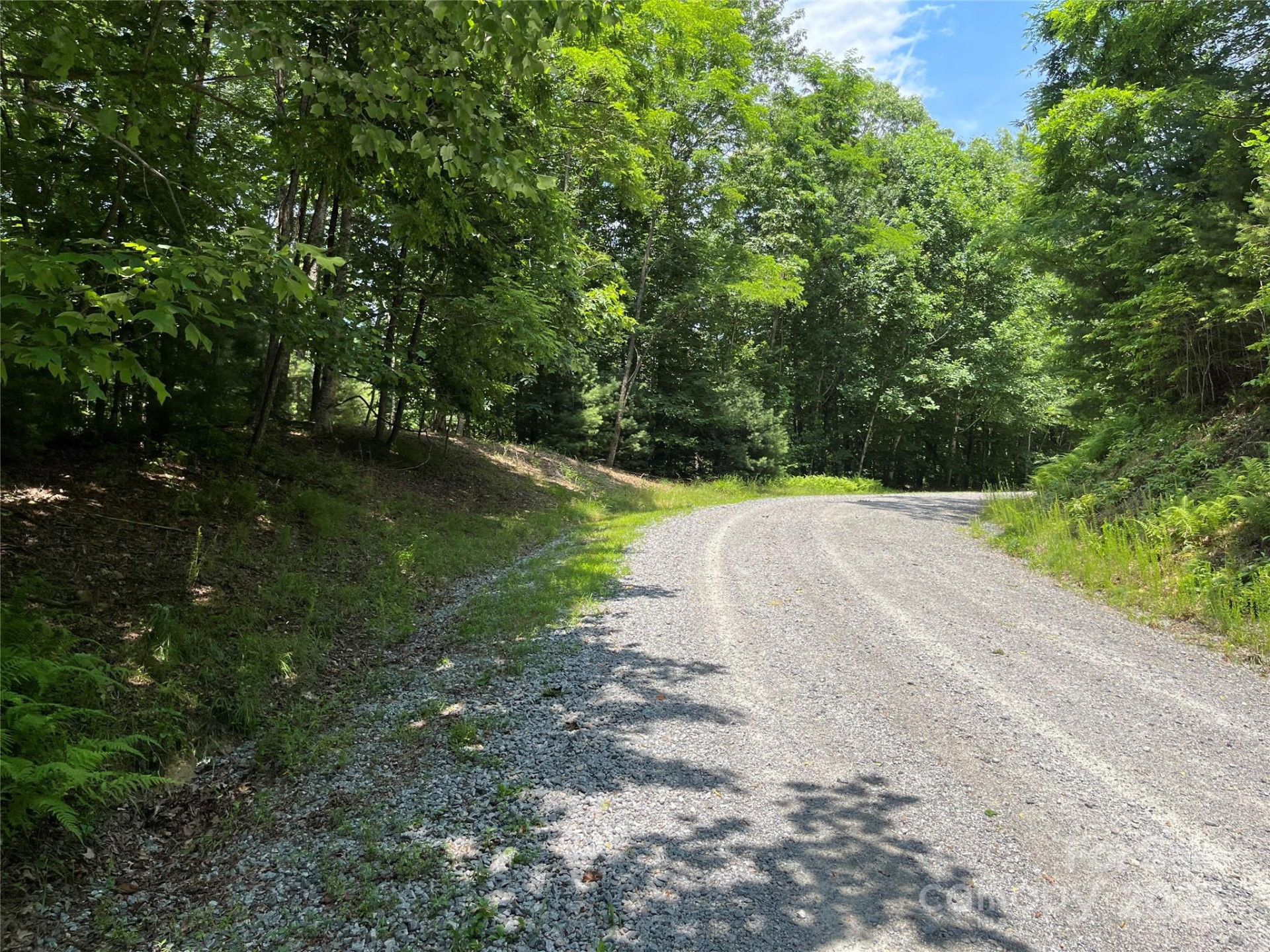 57 Big Branch Road - Photo 9