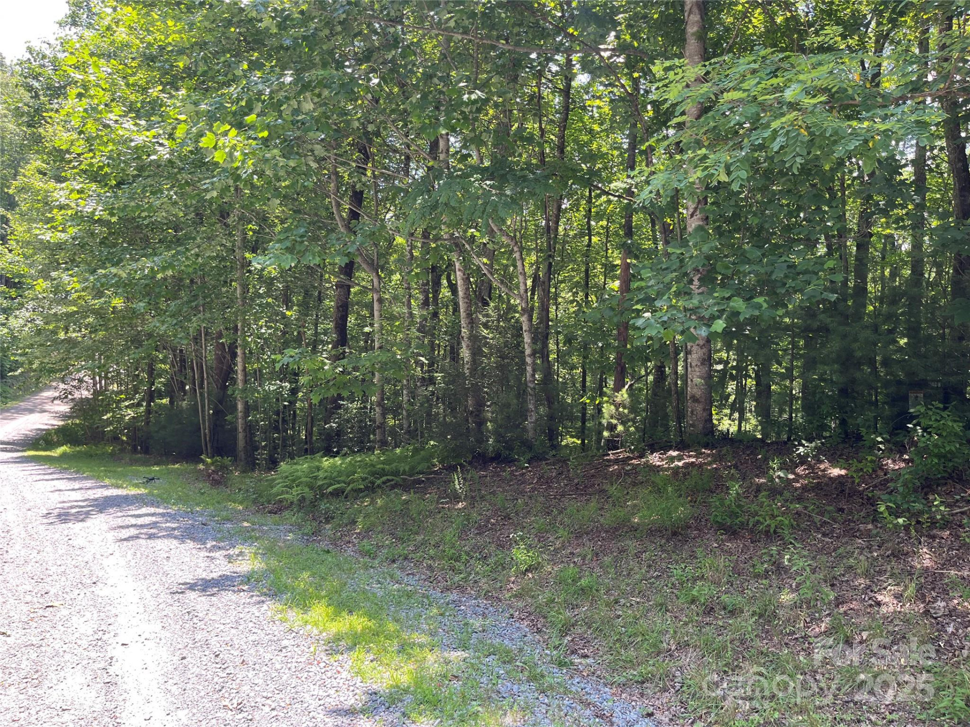 57 Big Branch Road - Photo 10