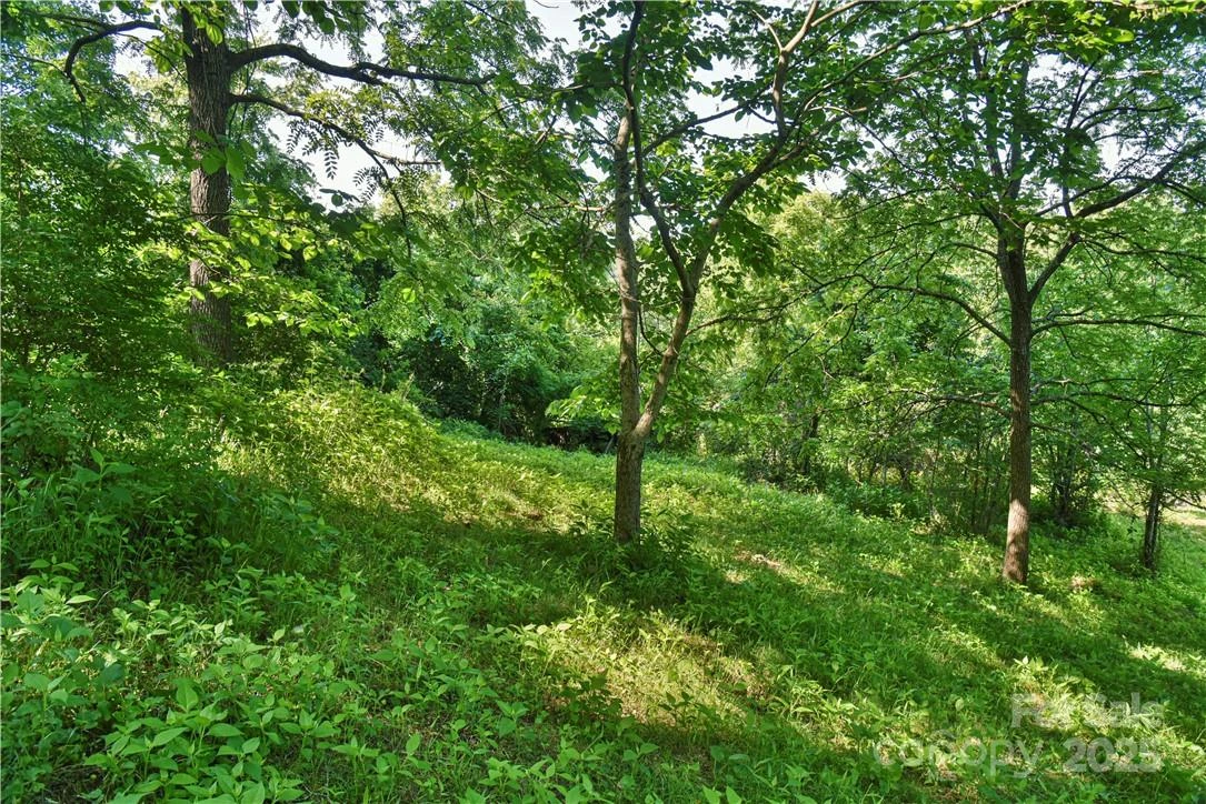 415 Weaverville Road - Photo 11